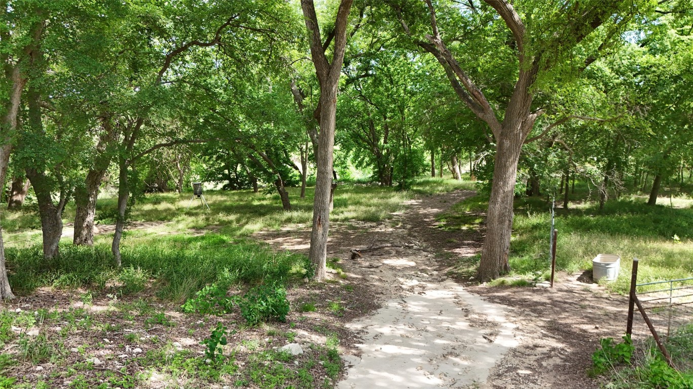 835 County Road 256 Liberty Hill, TX 78642 - Photo 23 of 34 View of local wilderness