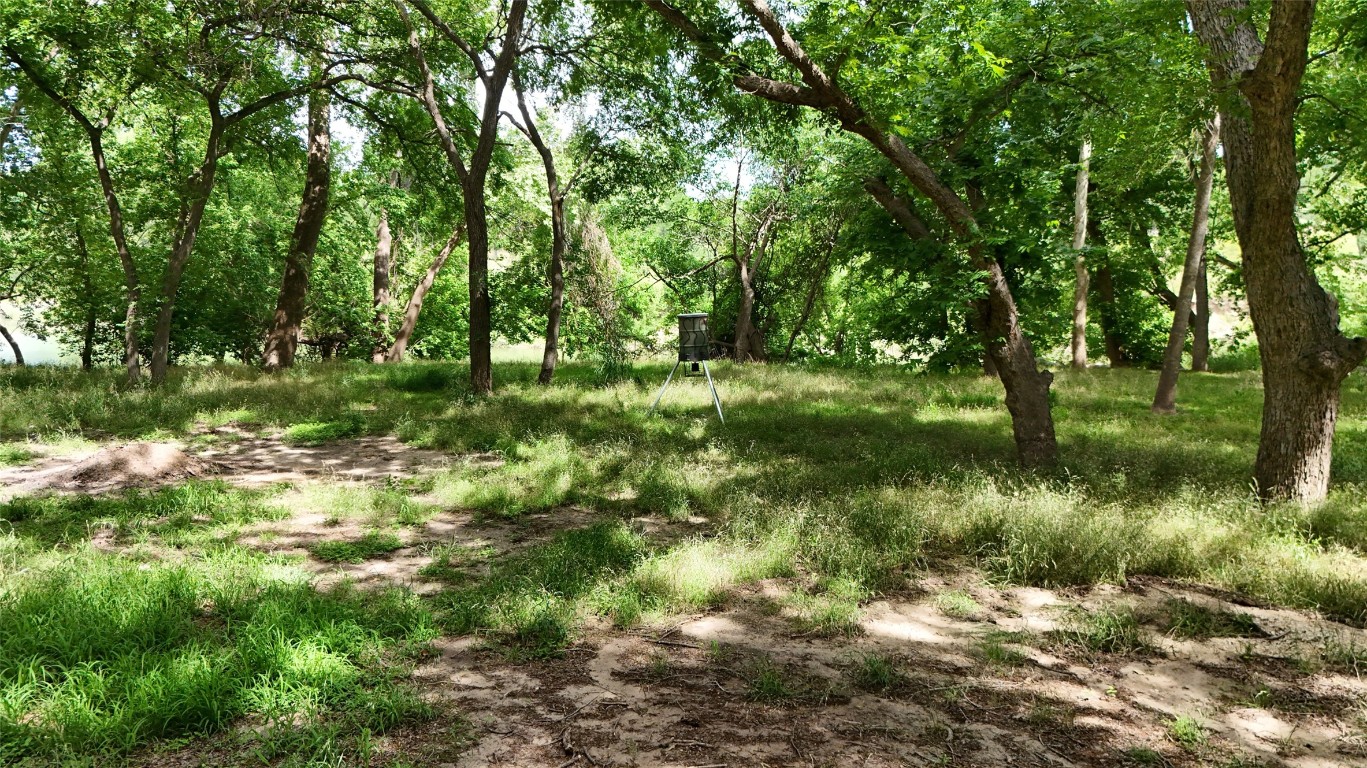 835 County Road 256 Liberty Hill, TX 78642 - Photo 24 of 34 View of nature