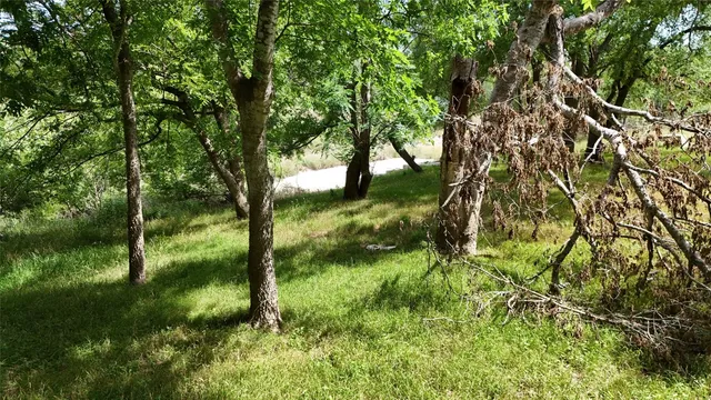 a view of a pathway both side of yard and trees