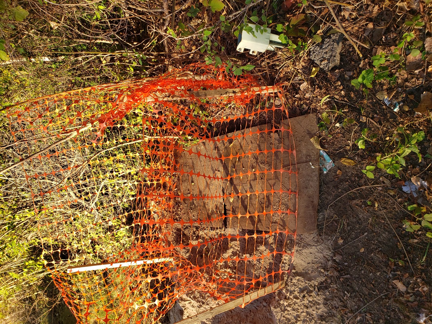 7234 Ash Place Gary, IN 46403 - Photo 6 of 10 a picture of tree
