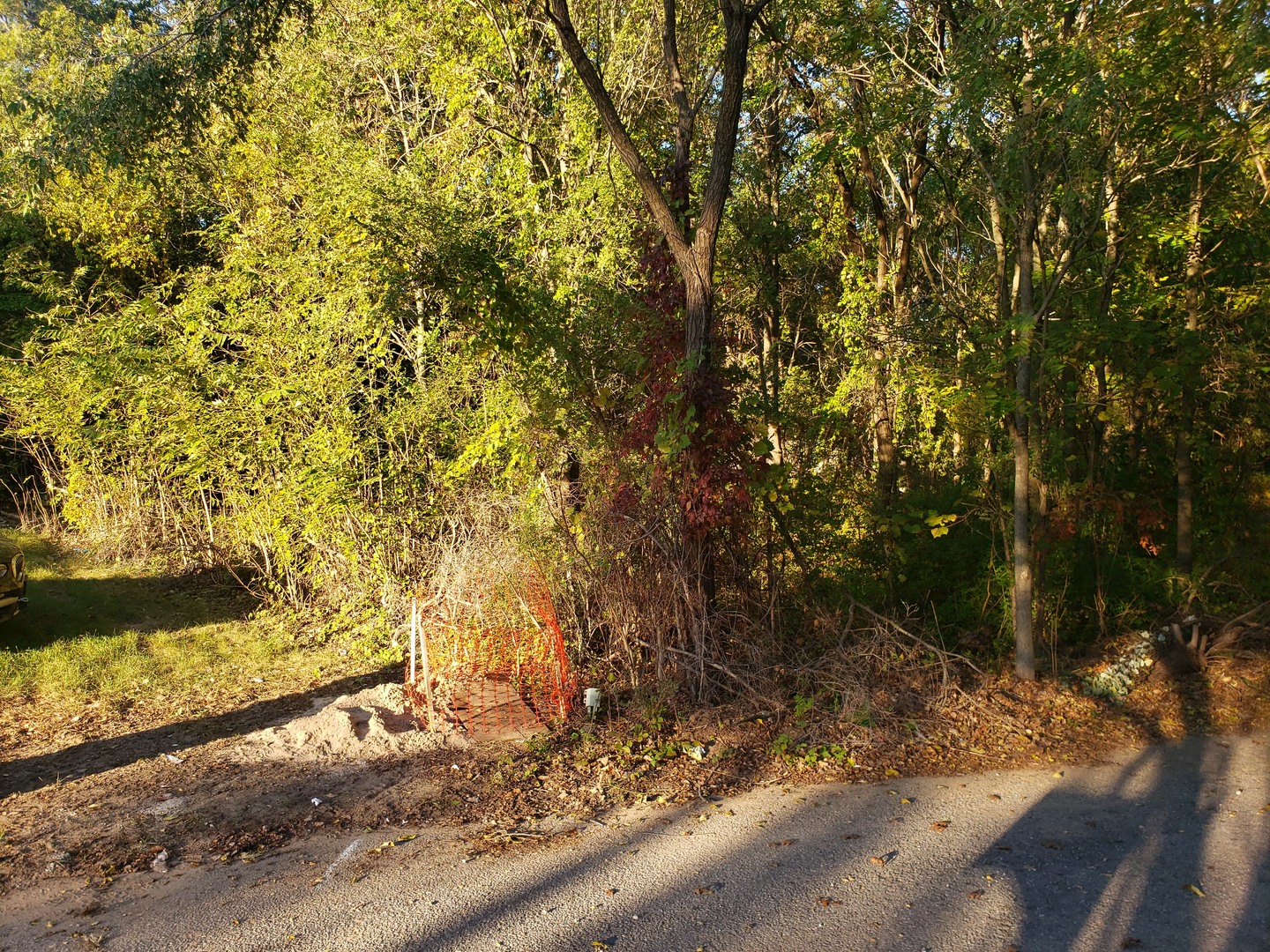 7234 Ash Place Gary, IN 46403 - Photo 7 of 10 a view of a yard with plants and trees