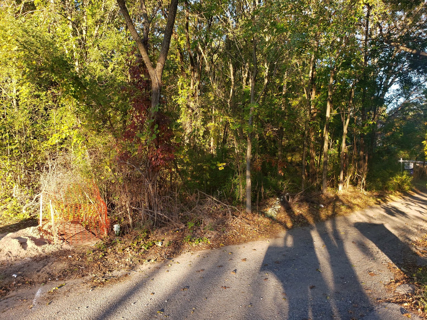 7234 Ash Place Gary, IN 46403 - Photo 9 of 10 a view of a yard