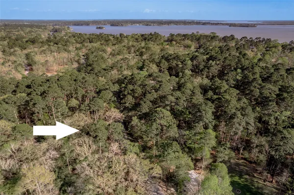 $9,700 | 0 Holly Lane, Trinity, TX 75862