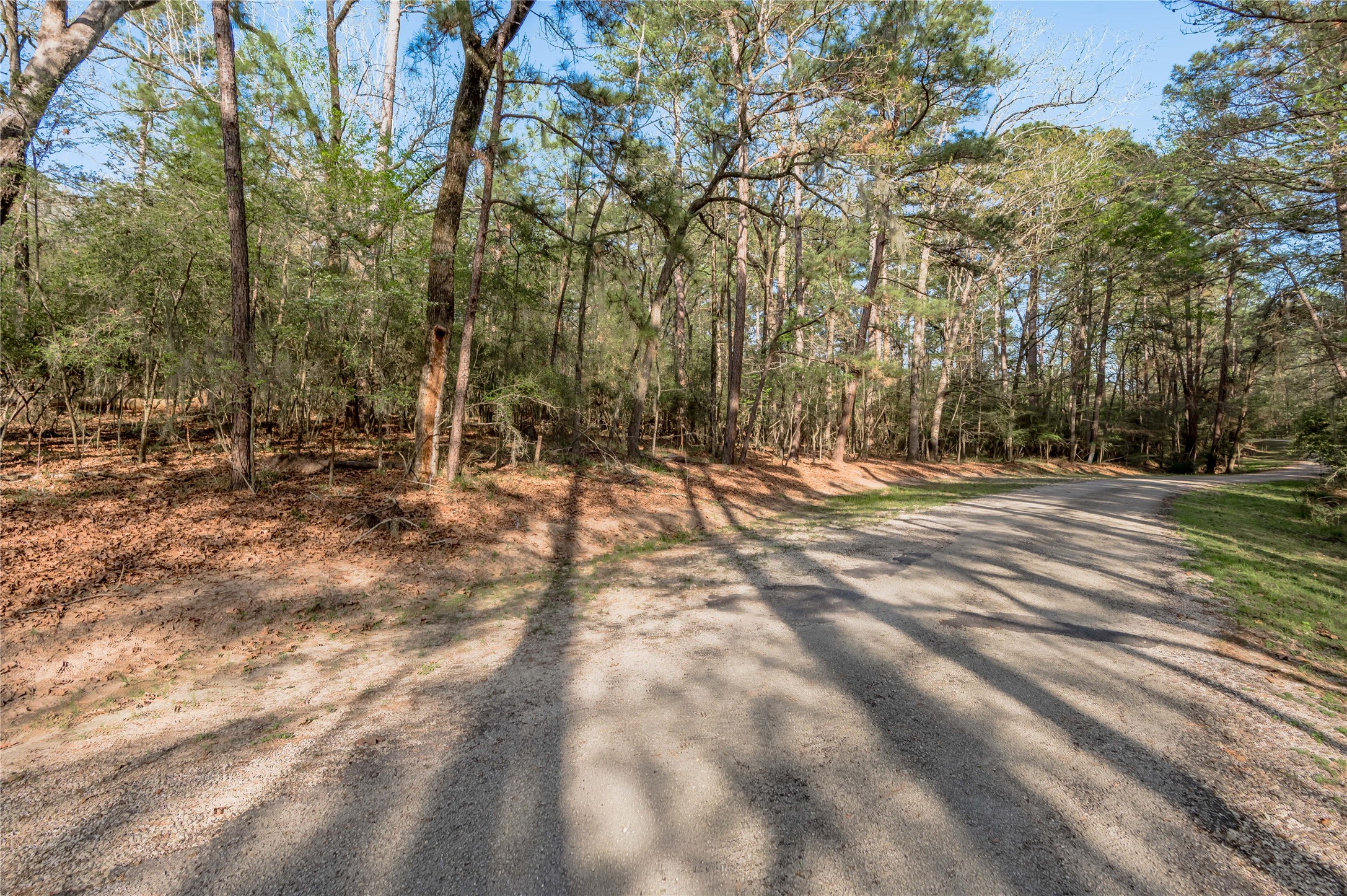 0 Holly Lane Trinity, TX 75862 - Photo 12 of 27 a view of outdoor space with trees