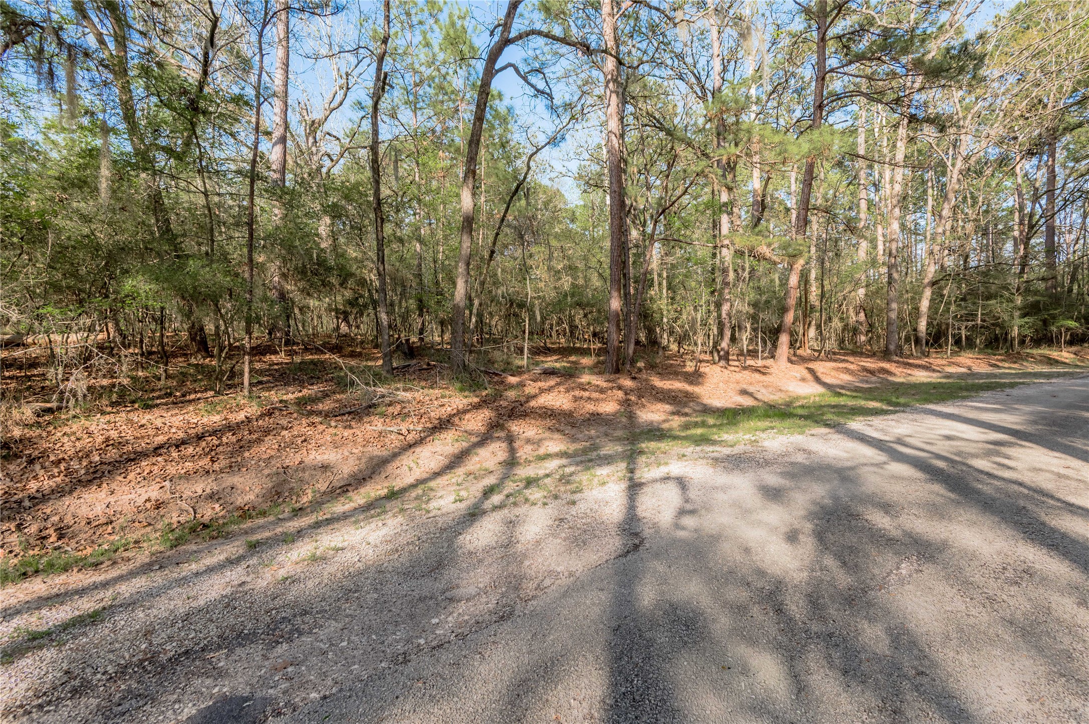 0 Holly Lane Trinity, TX 75862 - Photo 13 of 27 a view of outdoor space with trees