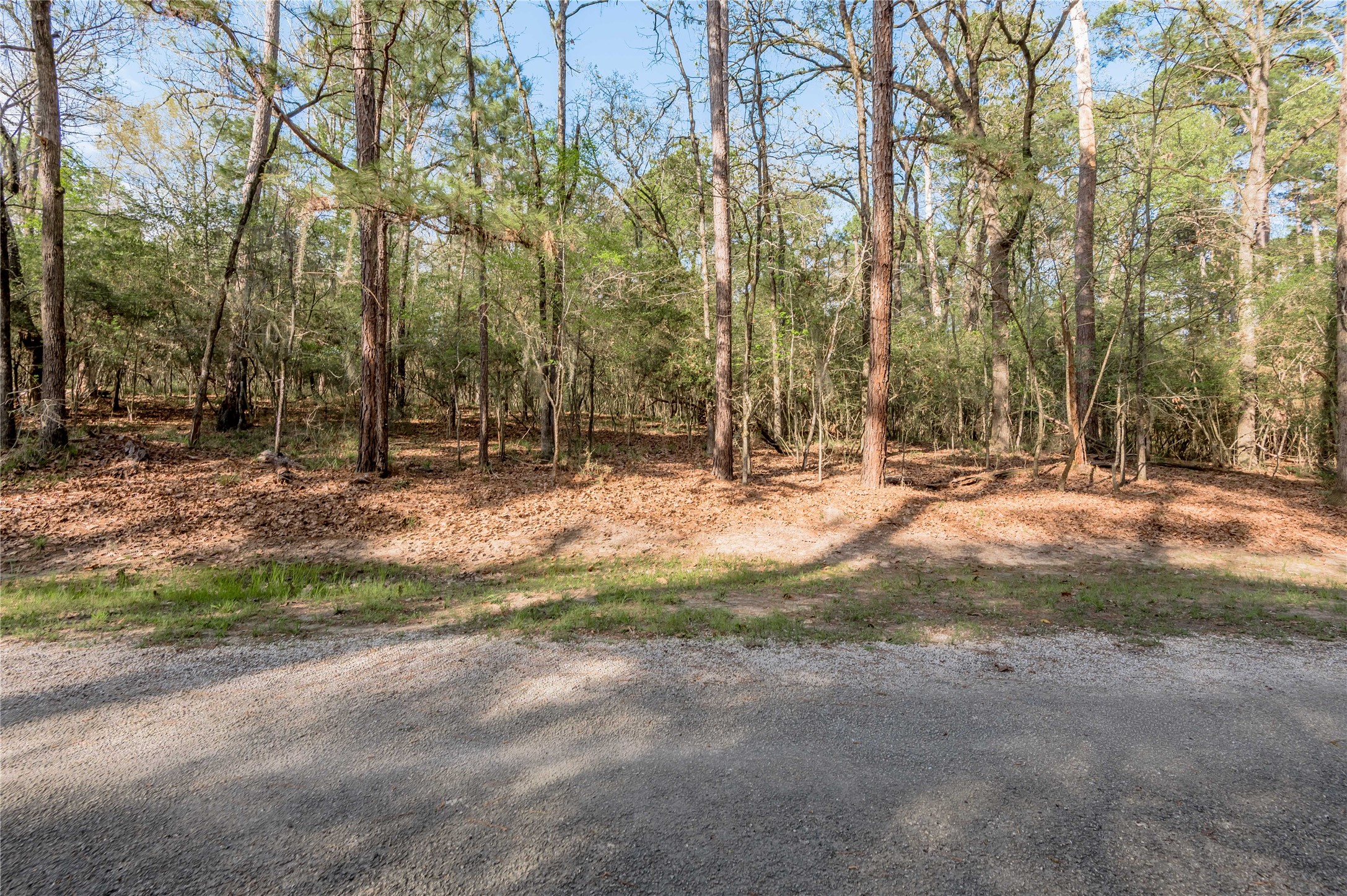 0 Holly Lane Trinity, TX 75862 - Photo 14 of 27 a view of outdoor space with trees