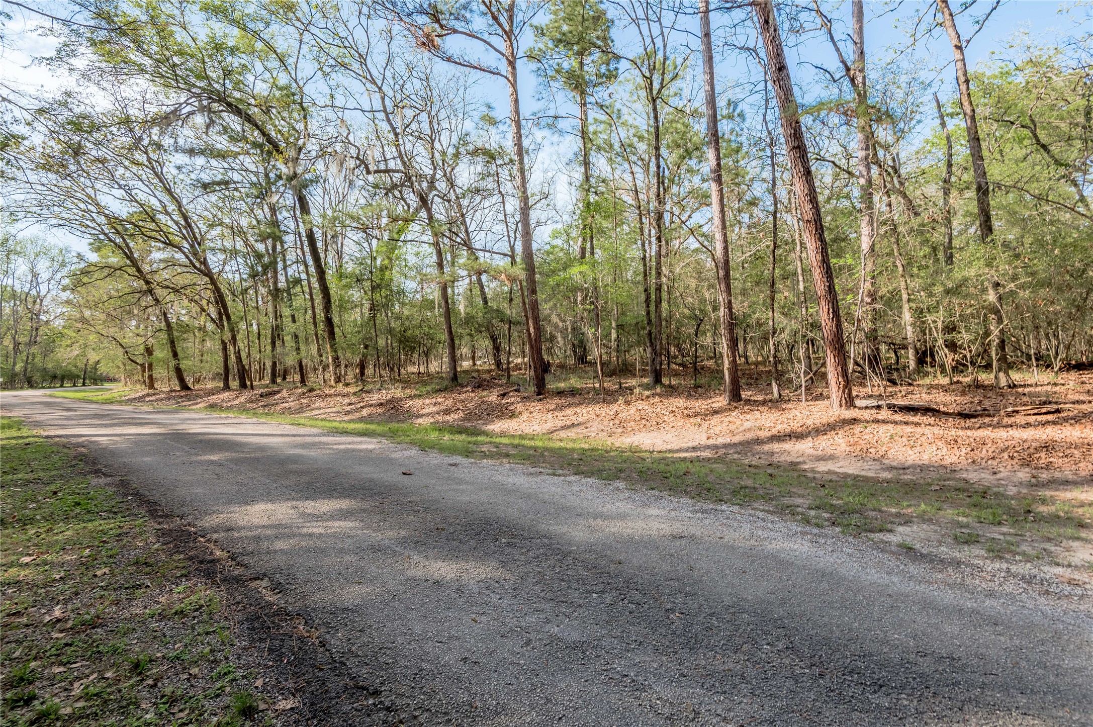0 Holly Lane Trinity, TX 75862 - Photo 15 of 27 a view of road with trees
