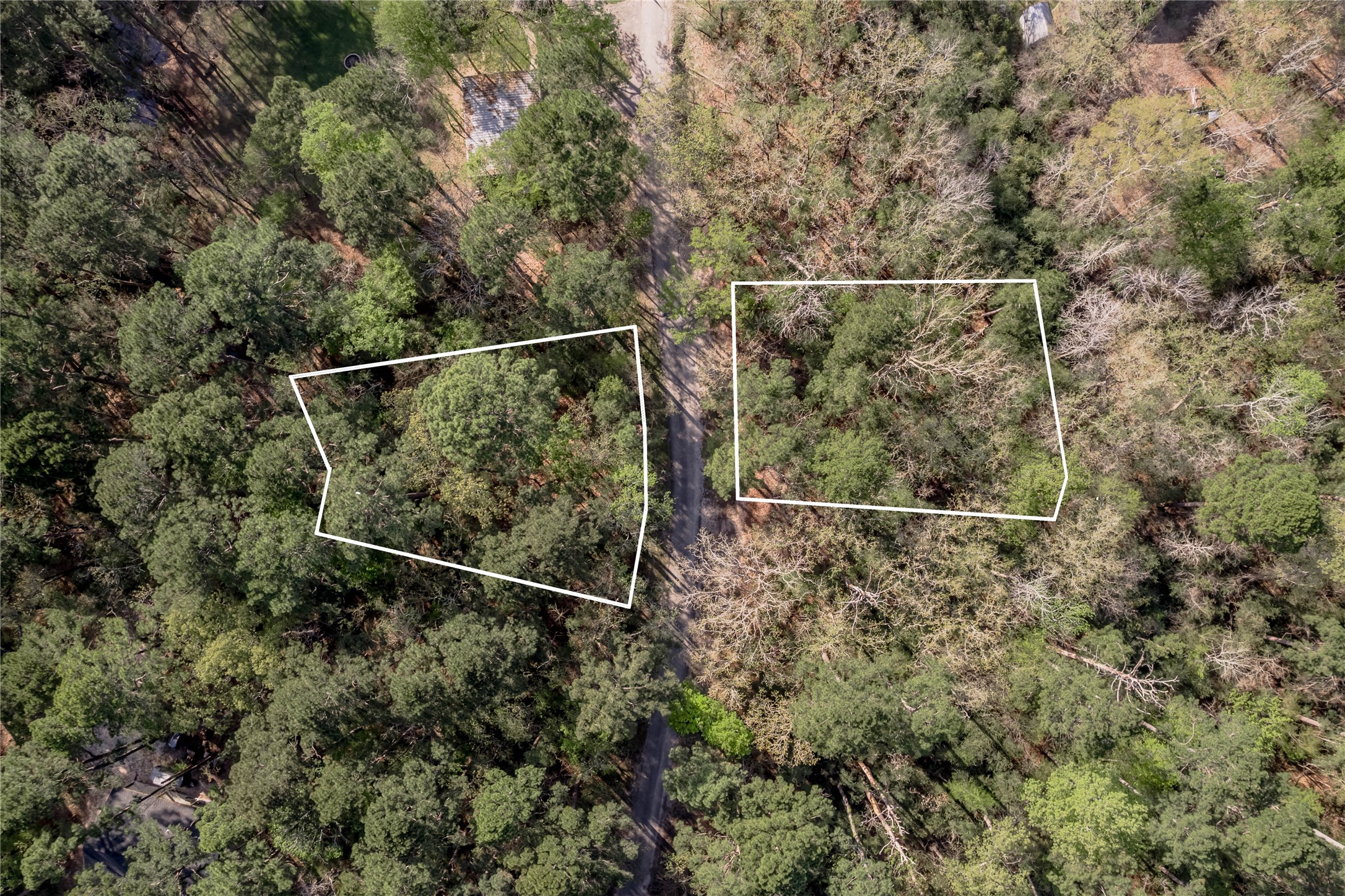 0 Holly Lane Trinity, TX 75862 - Photo 2 of 27