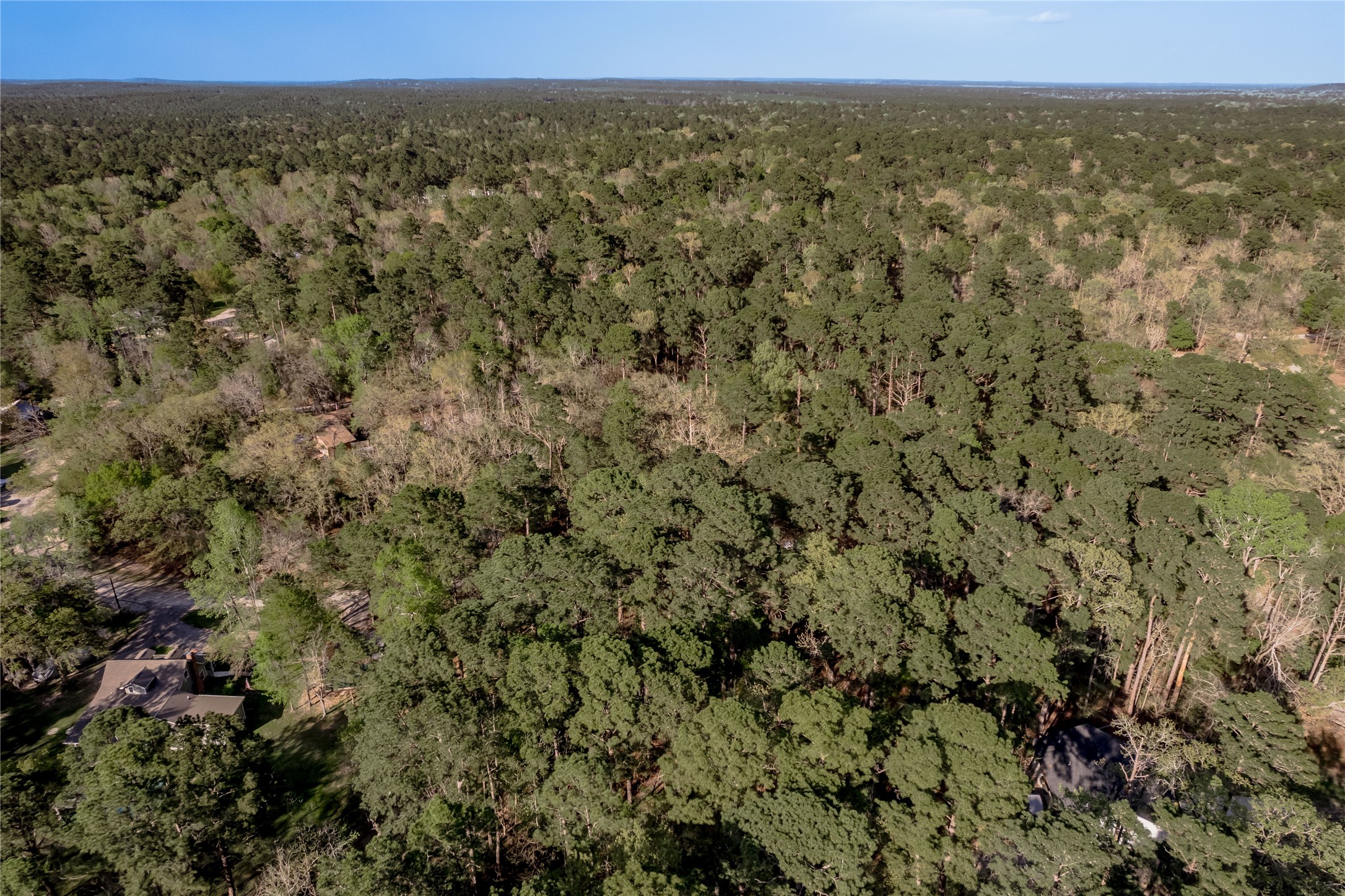 0 Holly Lane Trinity, TX 75862 - Photo 21 of 27 a view of a city with lush green forest
