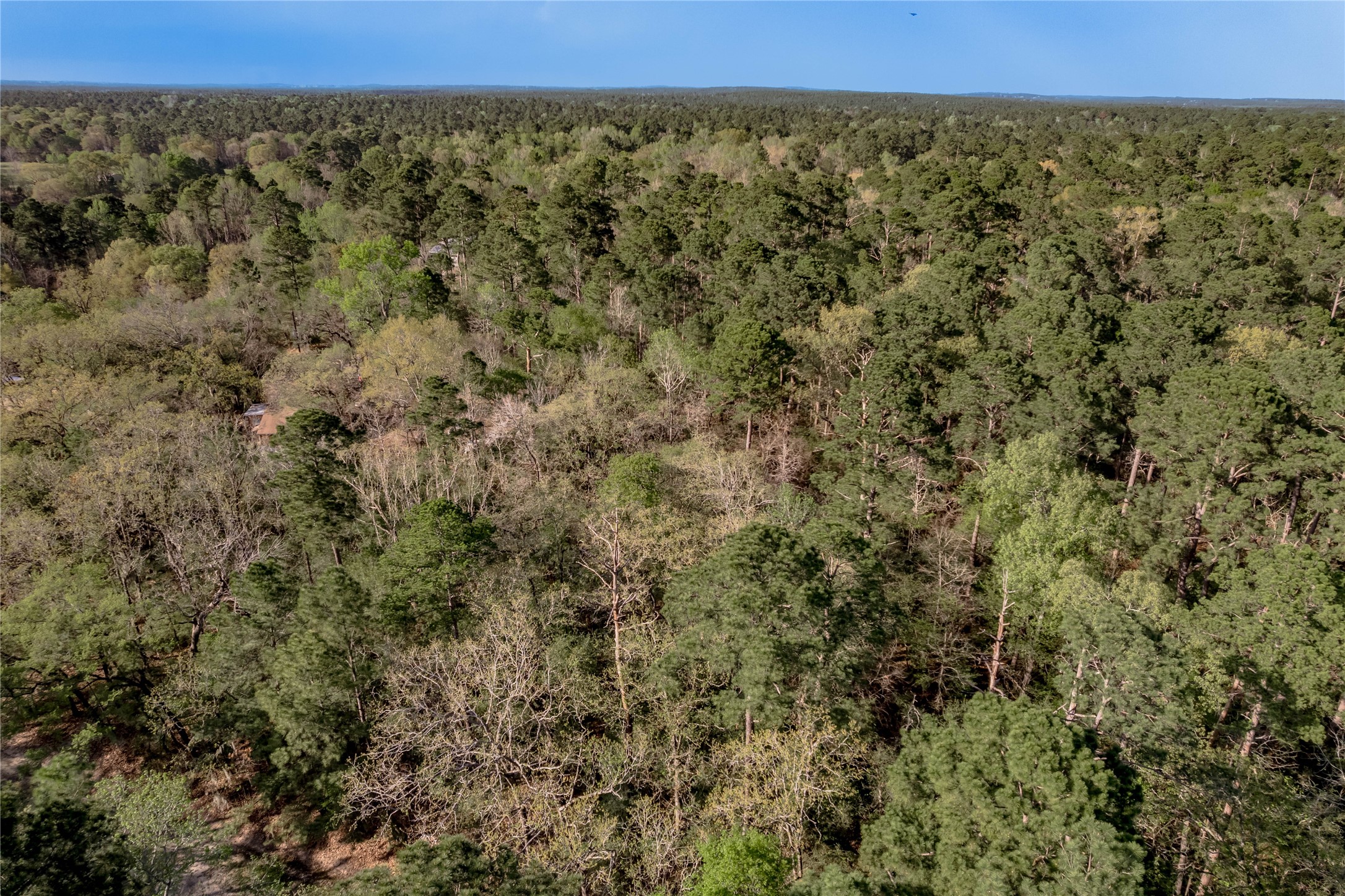 0 Holly Lane Trinity, TX 75862 - Photo 24 of 27 a view of a green field with lots of bushes