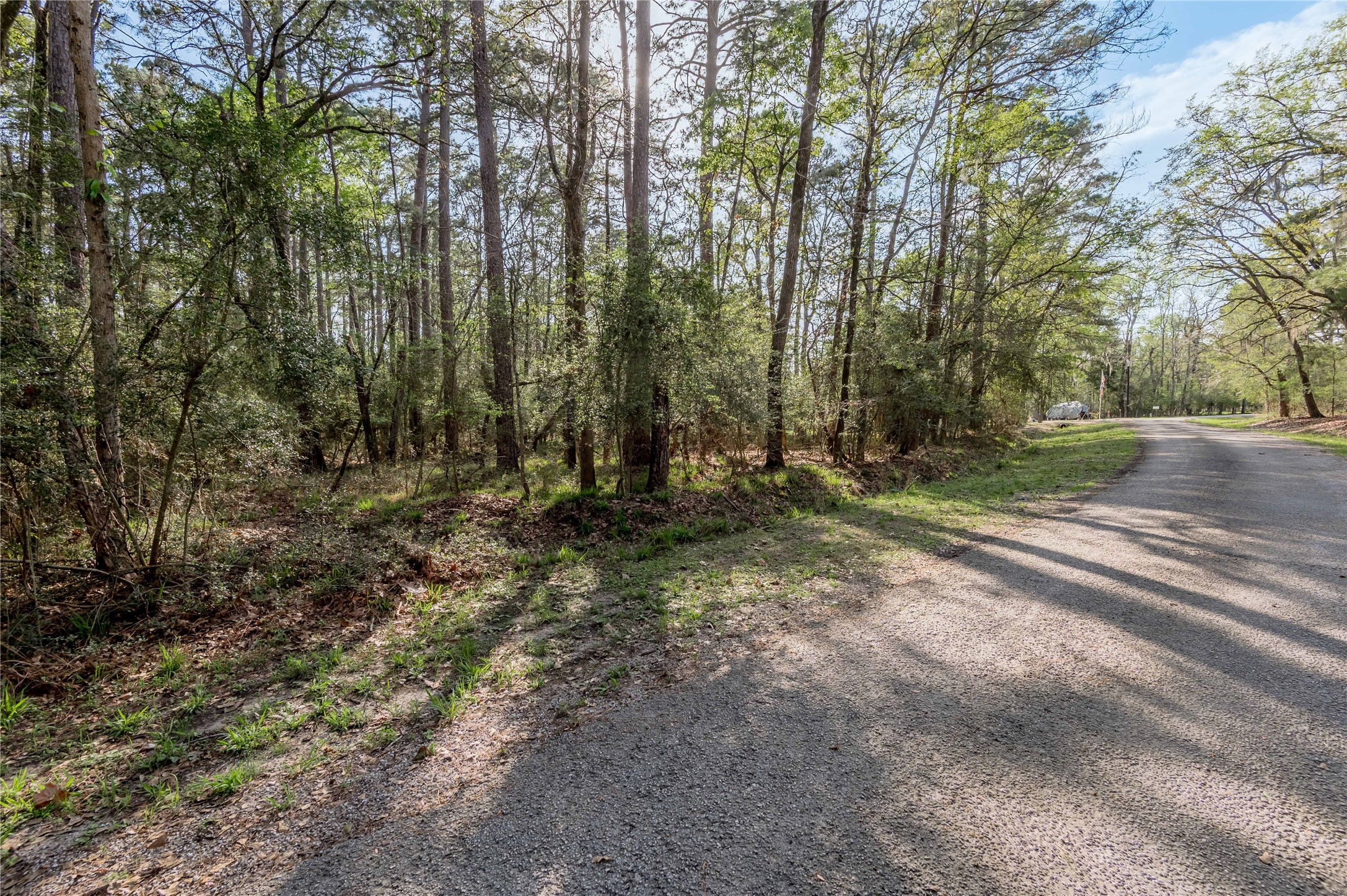 0 Holly Lane Trinity, TX 75862 - Photo 4 of 27 a view of backyard with green space