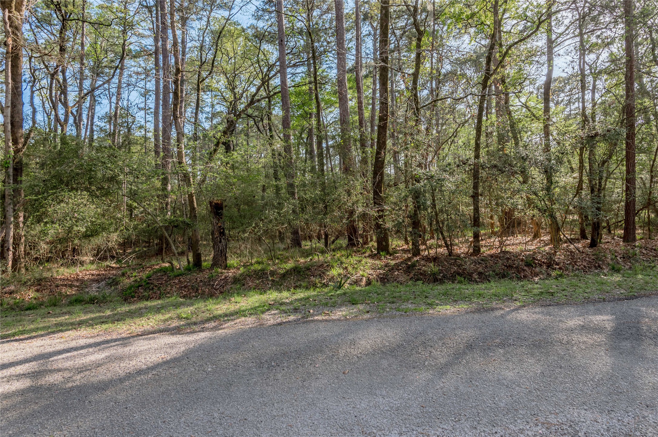 0 Holly Lane Trinity, TX 75862 - Photo 5 of 27 a view of a backyard with large trees