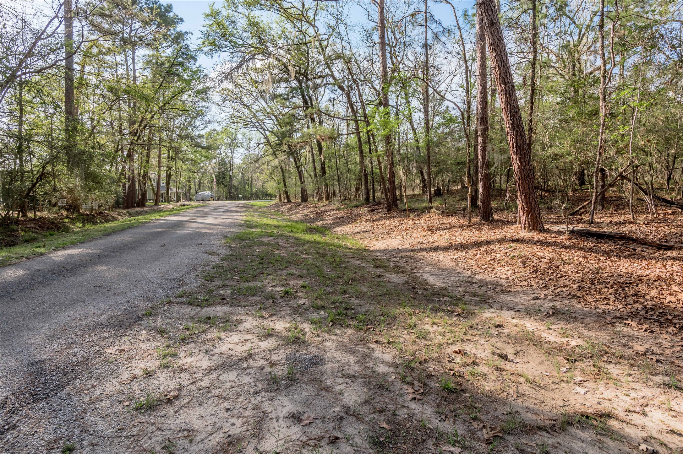 0 Holly Lane Trinity, TX 75862 - Photo 6 of 27 a view of a yard with trees