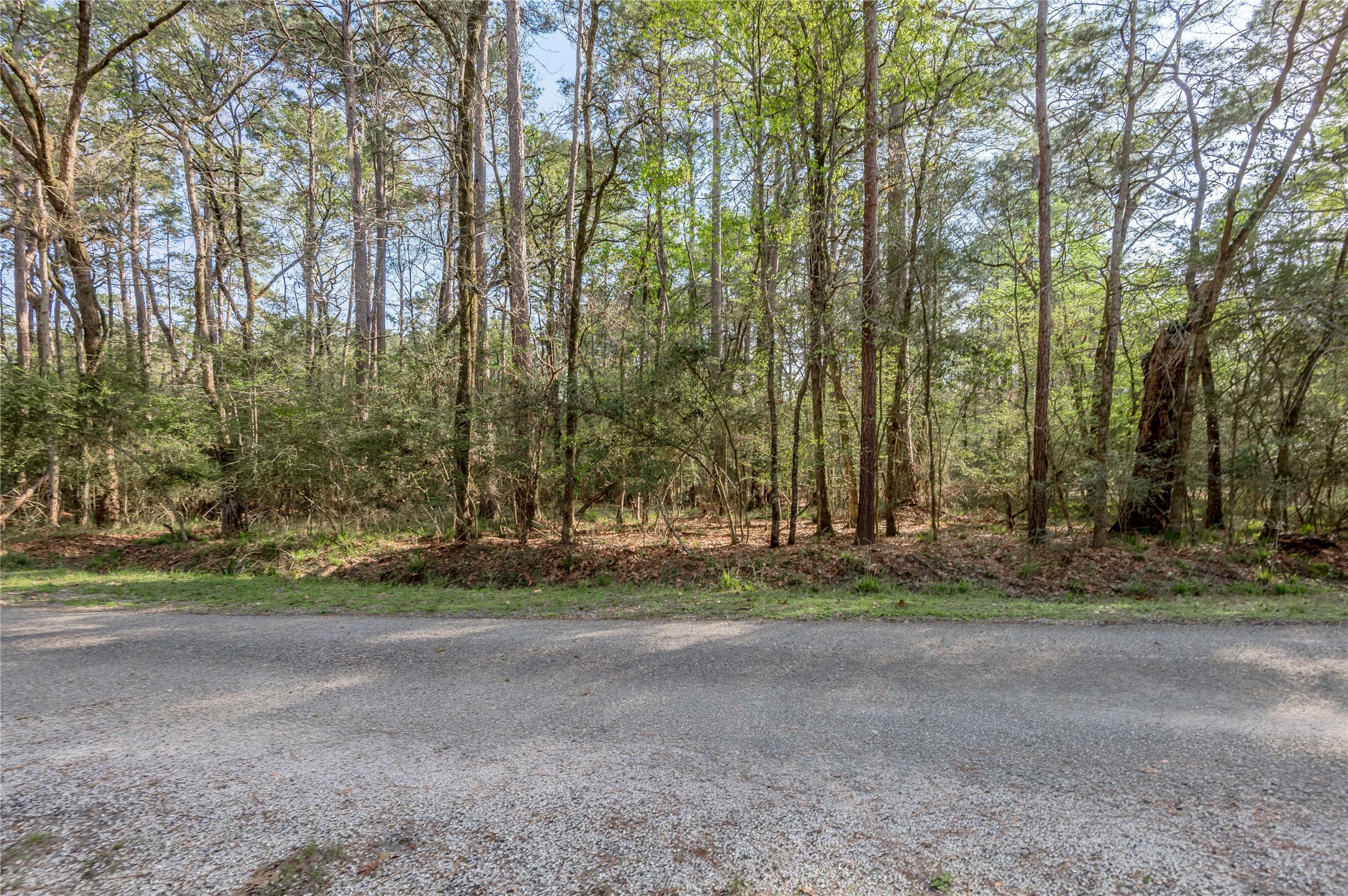 0 Holly Lane Trinity, TX 75862 - Photo 7 of 27 a view of a yard with a trees