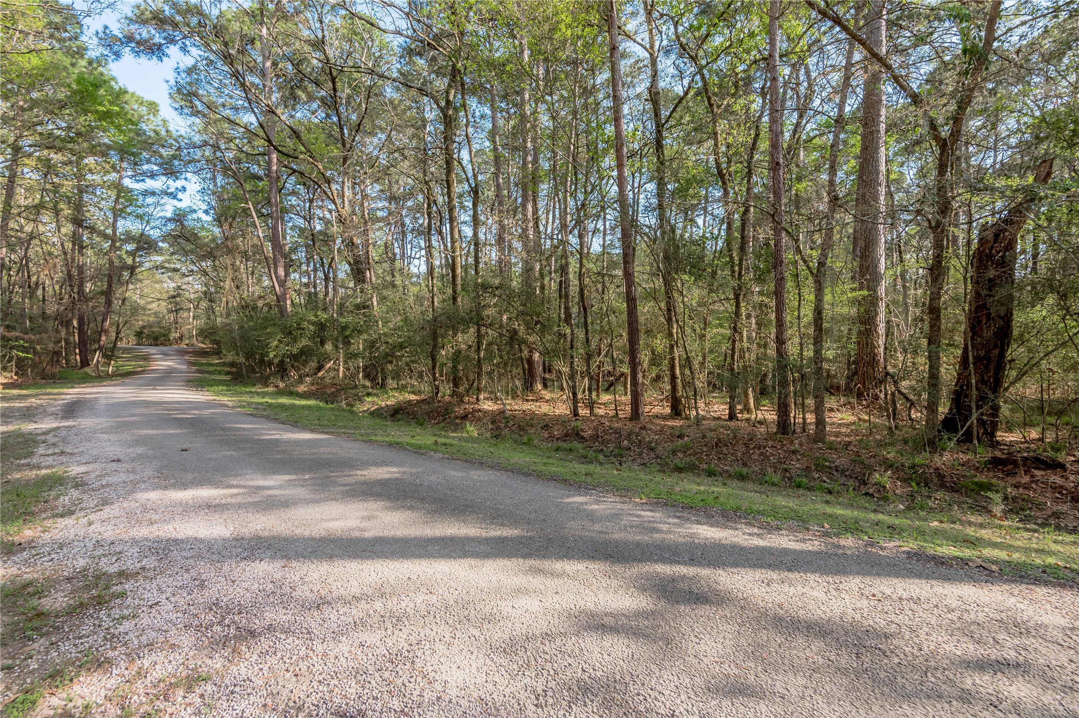 0 Holly Lane Trinity, TX 75862 - Photo 8 of 27 a view of a yard with a trees