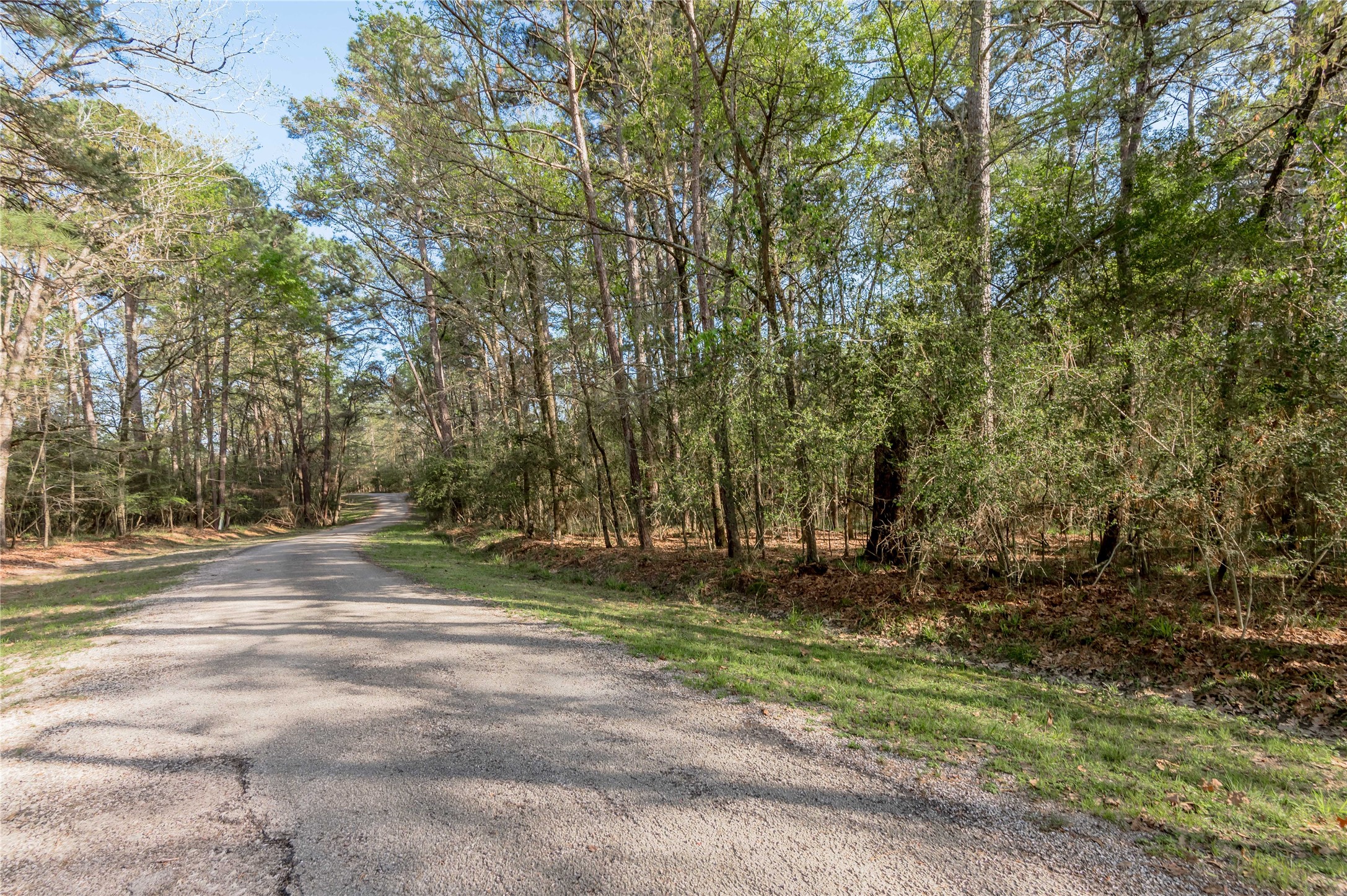0 Holly Lane Trinity, TX 75862 - Photo 9 of 27 a view of a yard with a tree