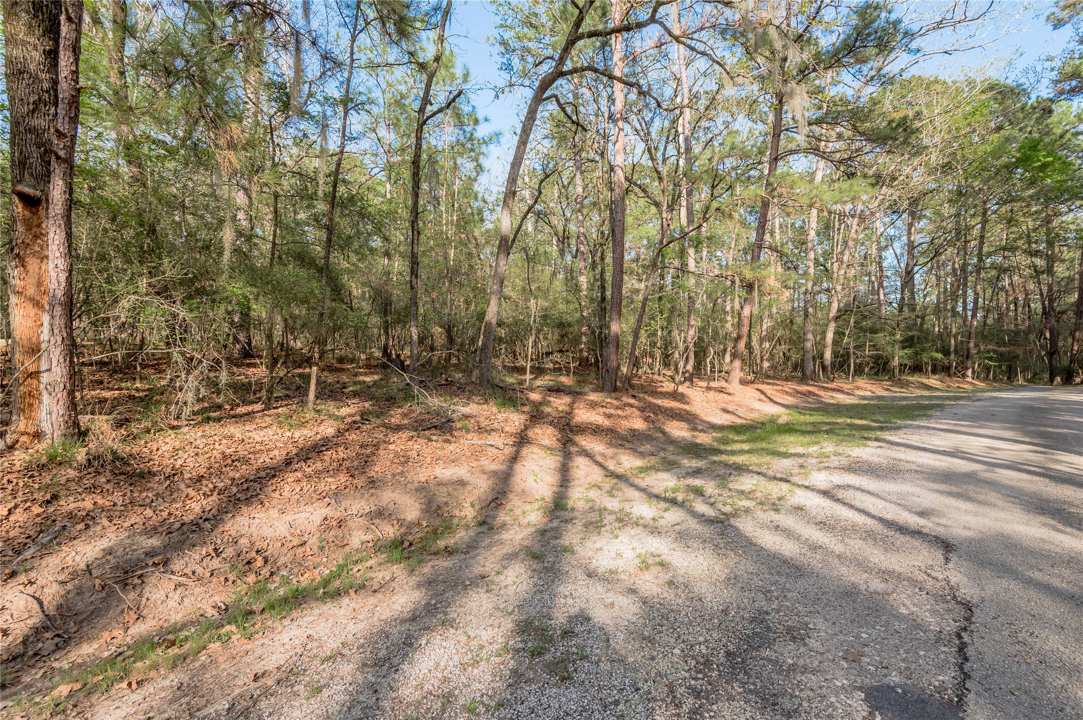0 Holly Lane Trinity, TX 75862 - Photo 10 of 27 a view of outdoor space with trees
