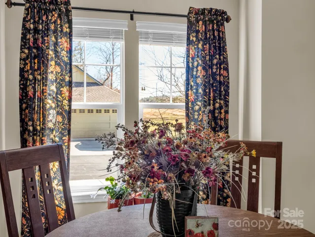 a potted plant sitting in front of a window