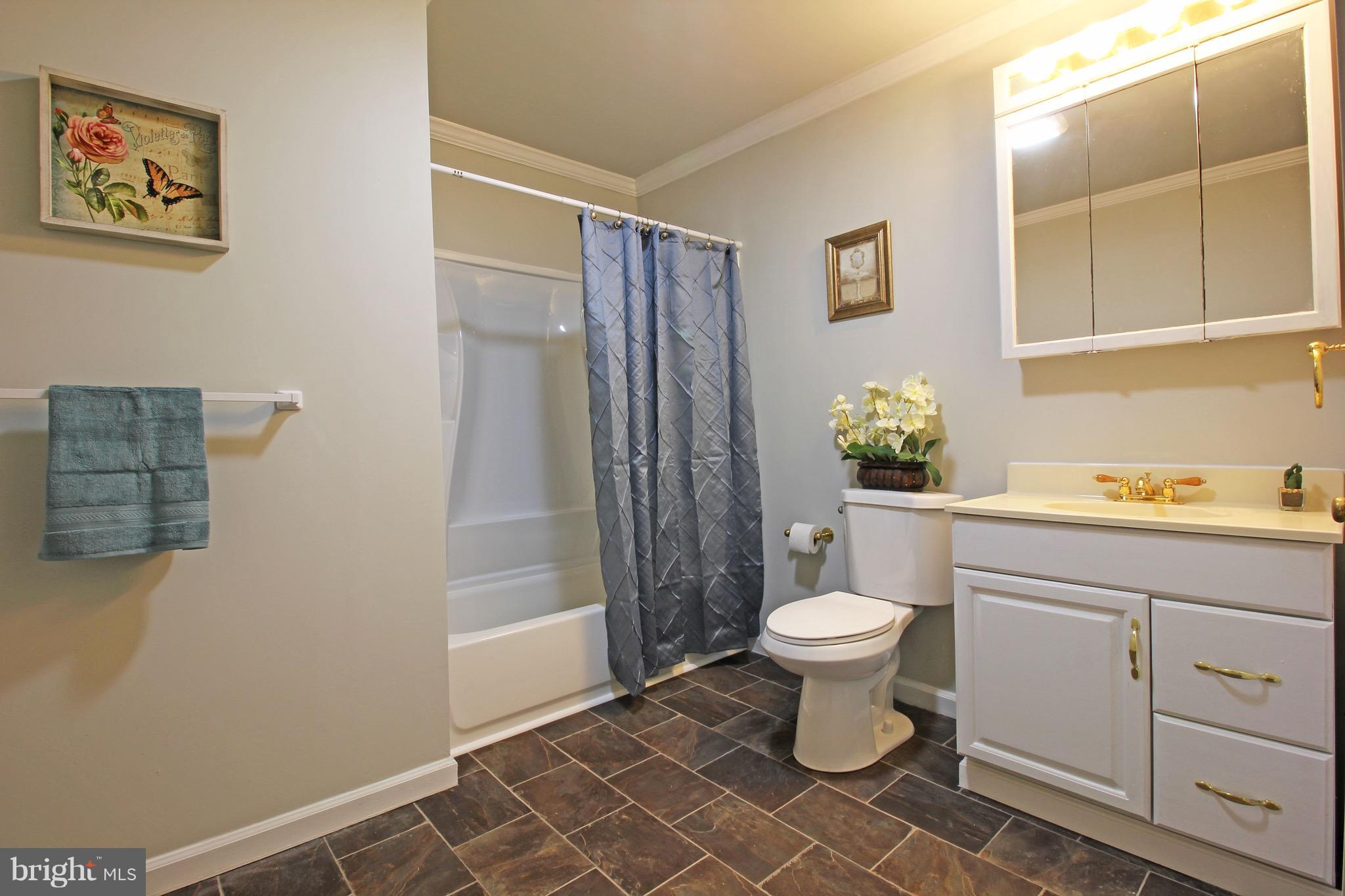 1217 Hillside Road Pasadena, MD 21122 - Photo 12 of 24 a bathroom with a sink toilet and shower