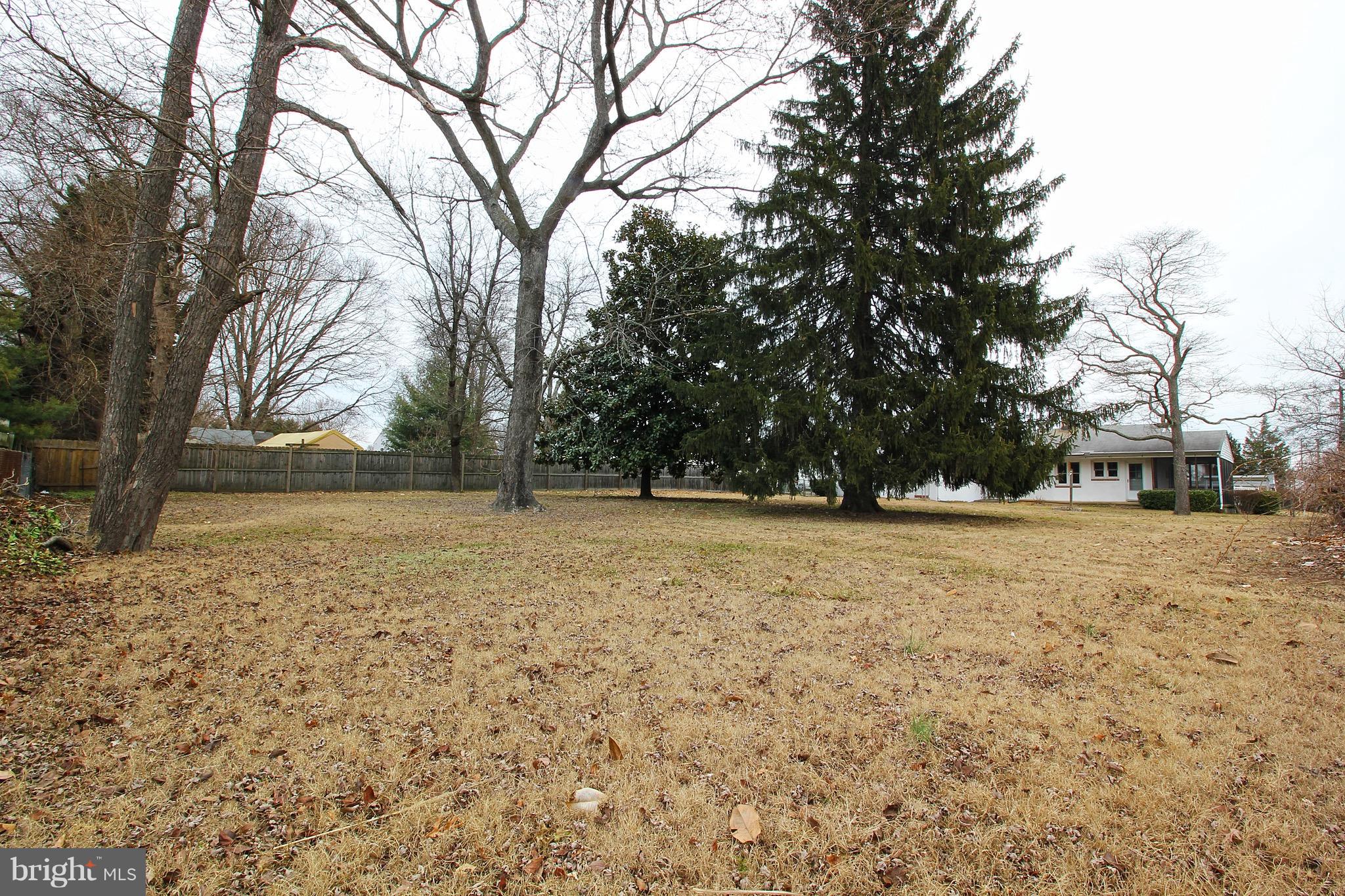 1217 Hillside Road Pasadena, MD 21122 - Photo 19 of 24 a view of outdoor space with trees