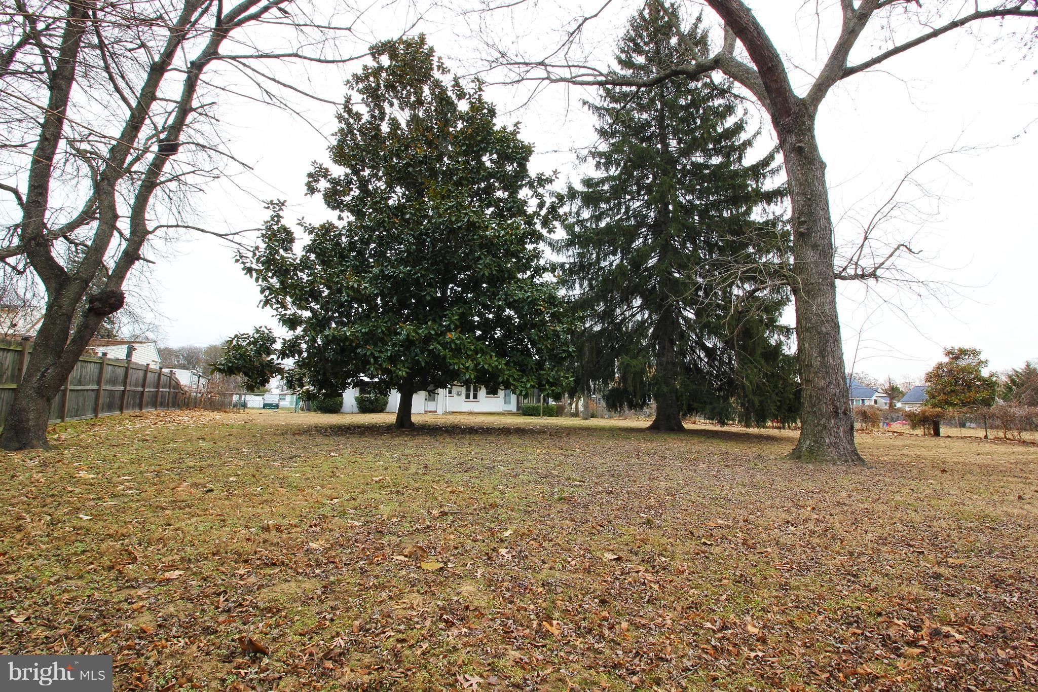 1217 Hillside Road Pasadena, MD 21122 - Photo 20 of 24 a view of outdoor space with trees