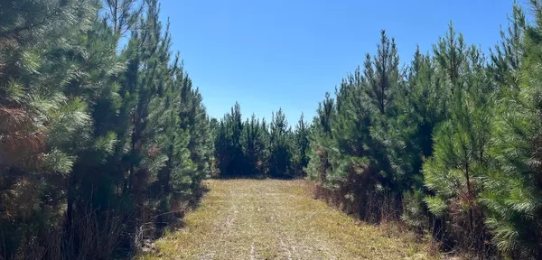 $1,500,000 | O O Acorn Road, Walterboro, SC 29488