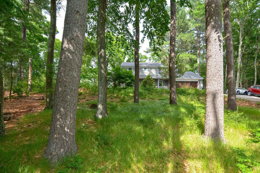 310 Millville Road Uxbridge, MA 01569 - Photo 2 of 32 Gallery Image 2