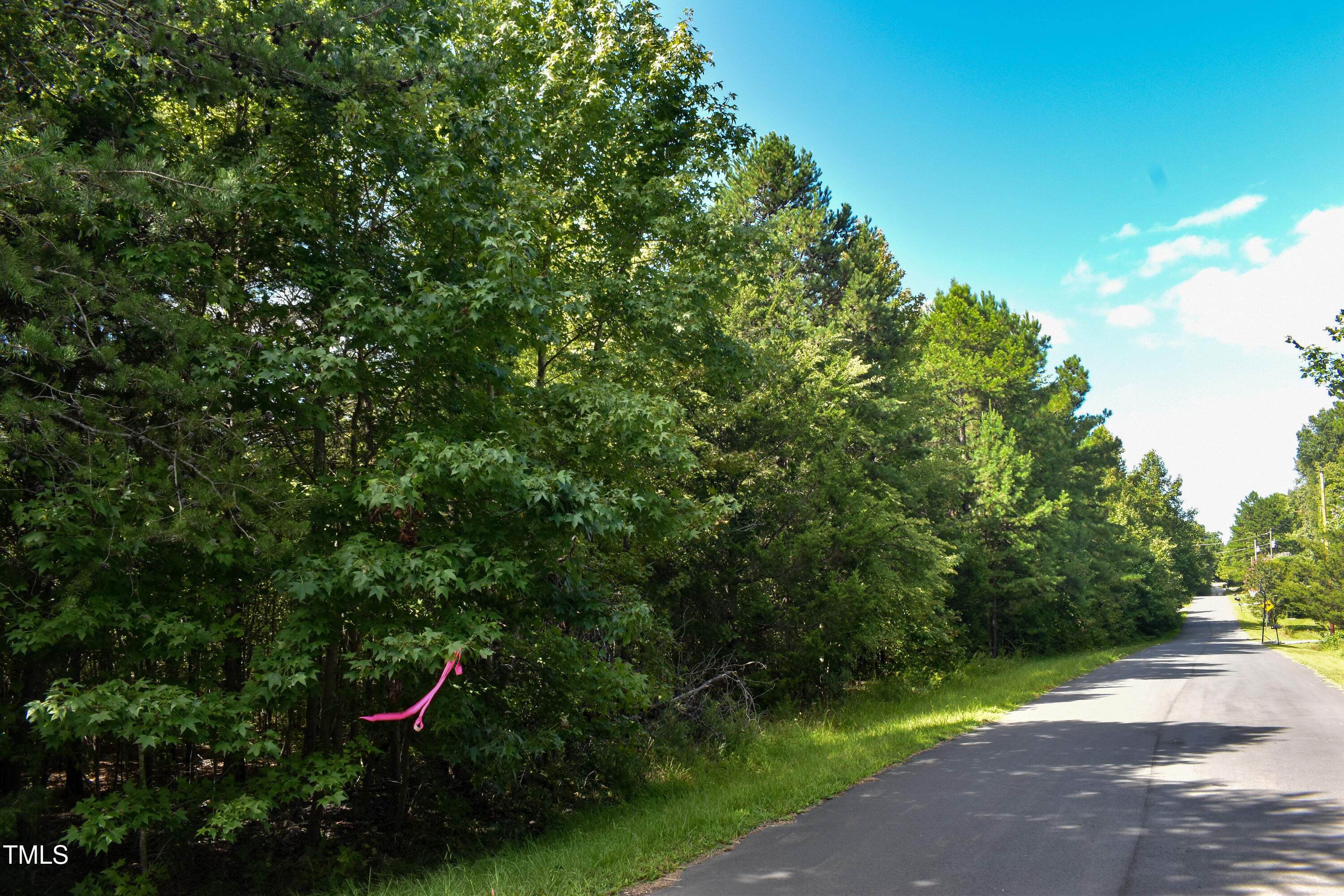 0 Doc Bass Road Timberlake, NC 27583 - Photo 13 of 14 a view of a park with plants and a tree