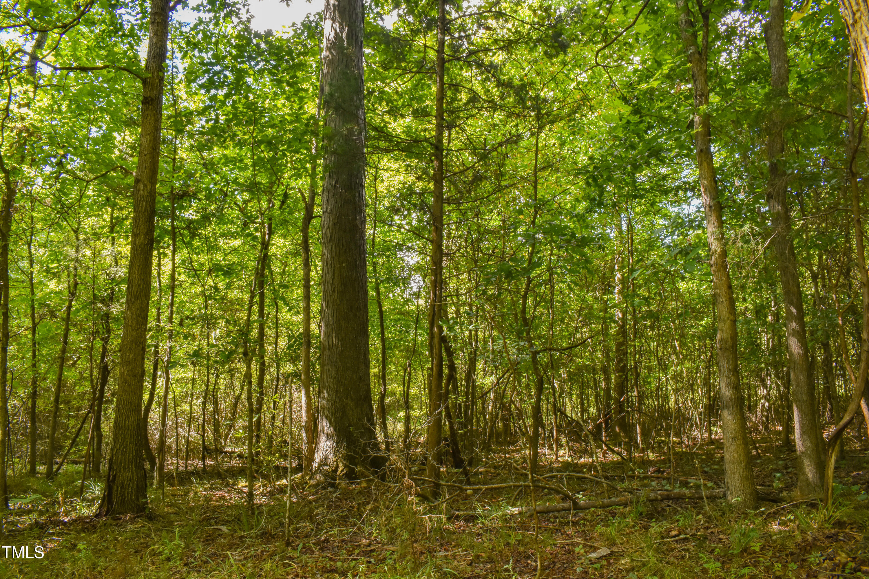 0 Doc Bass Road Timberlake, NC 27583 - Photo 2 of 14 a view of swimming pool of water and green space