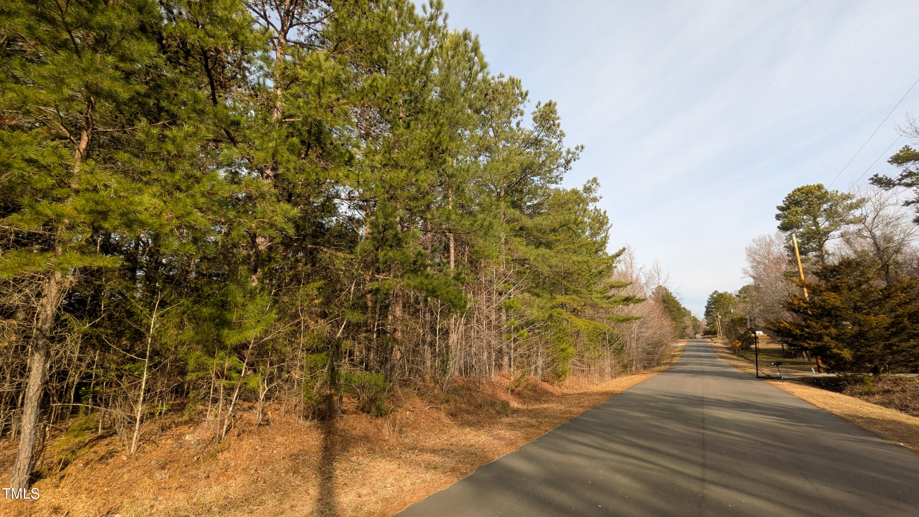 0 Doc Bass Road Timberlake, NC 27583 - Photo 7 of 14 a view of a yard
