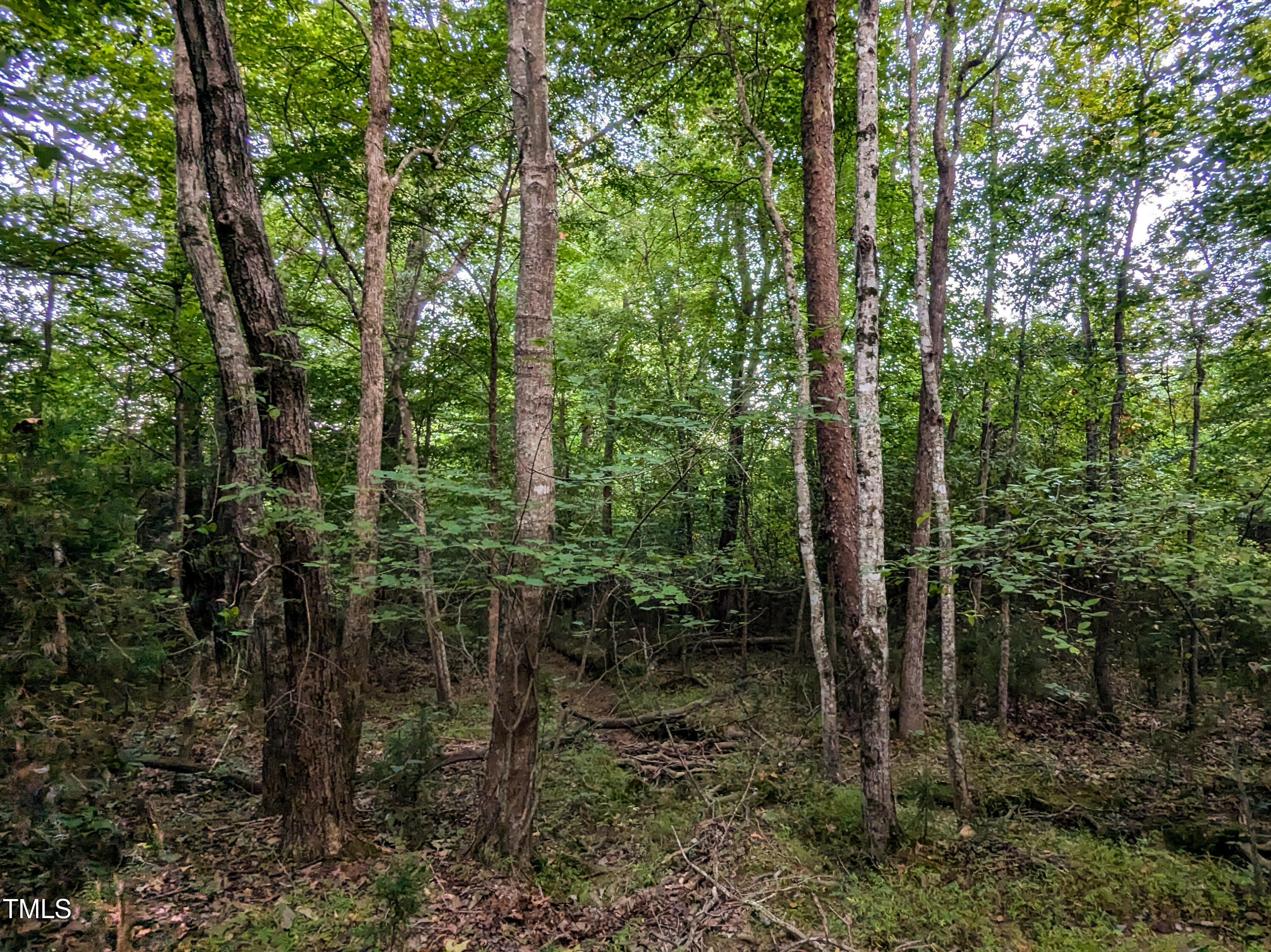 0 Doc Bass Road Timberlake, NC 27583 - Photo 10 of 14 a view of outdoor space and green space