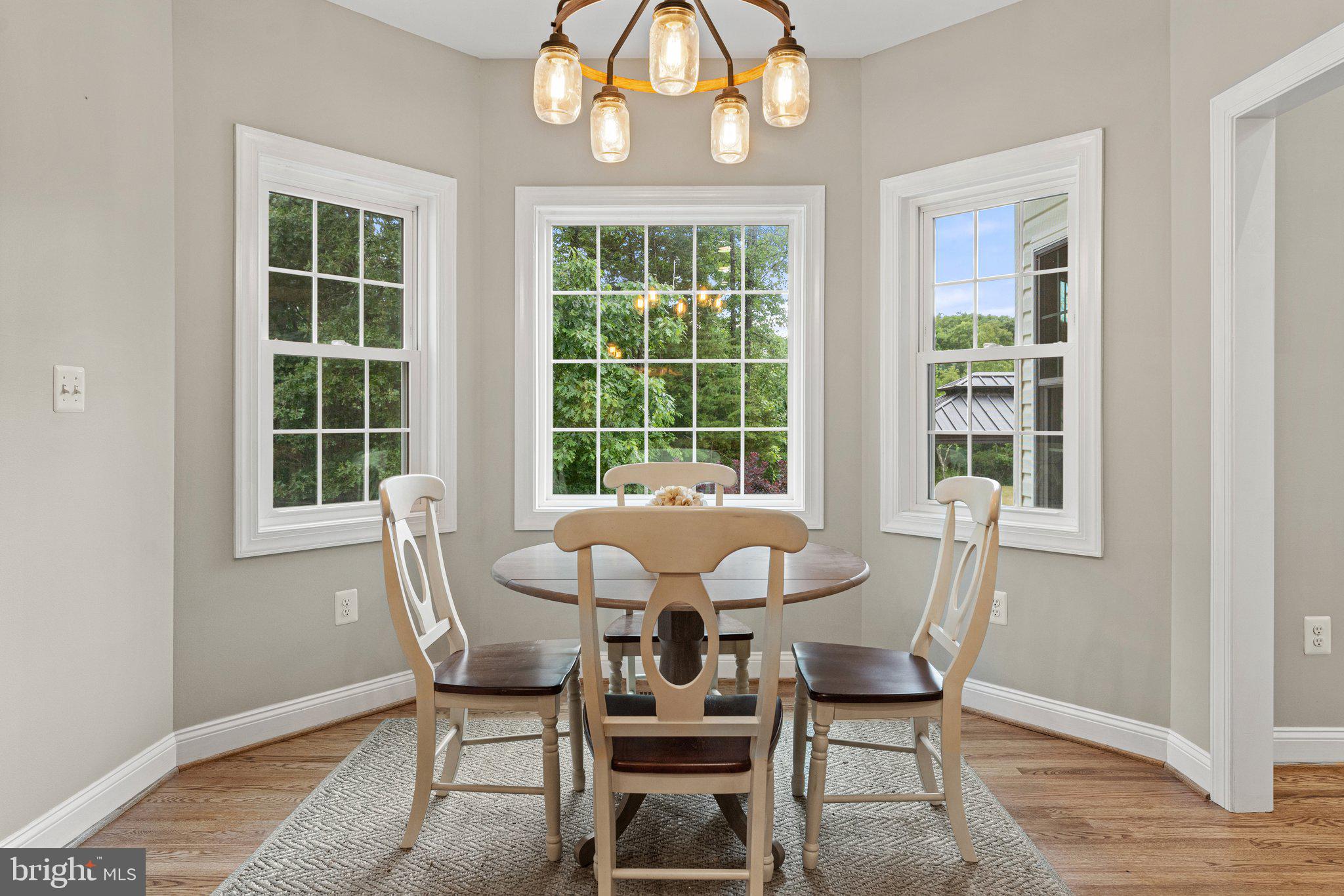 10552 Shenandoah Path Catlett, VA 20119 - Photo 18 of 118