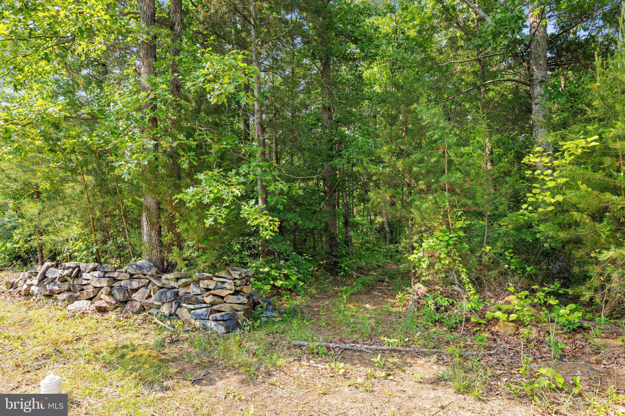 10552 Shenandoah Path Catlett, VA 20119 - Photo 95 of 118