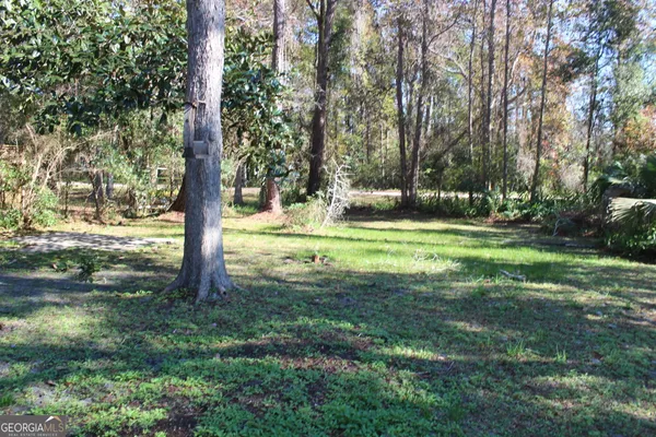 a view of a garden with a tree