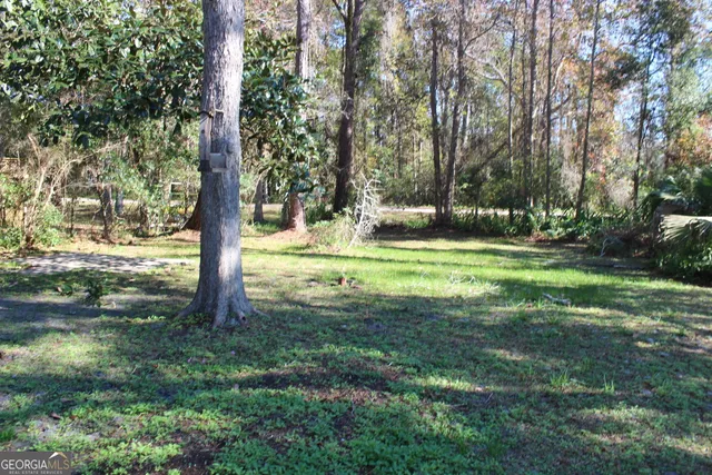 a view of a garden with a tree