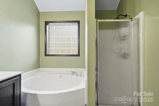 a bathroom with a bathtub and a shower