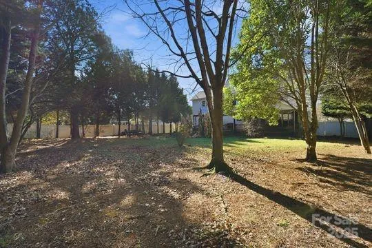 a view of a yard with a tree
