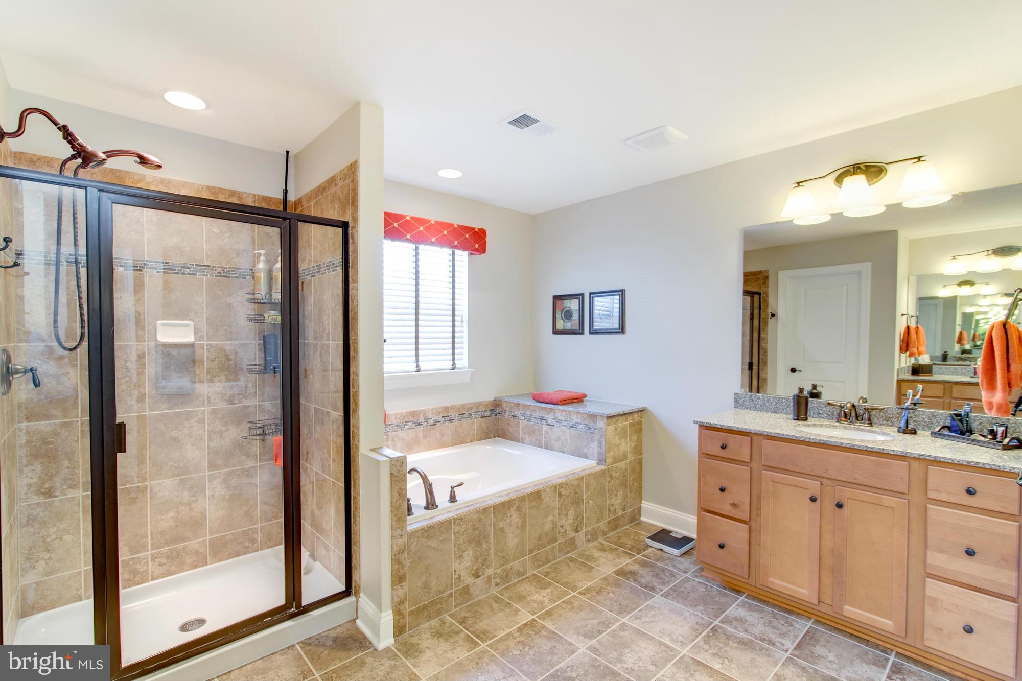 25764 Racing Sun Drive Aldie, VA 20105 - Photo 18 of 30 Bath (Master)