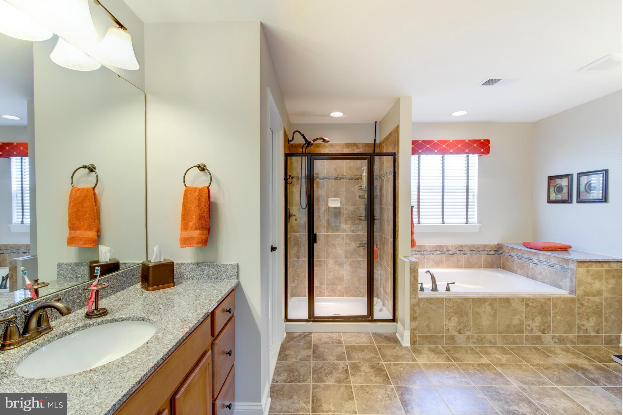 25764 Racing Sun Drive Aldie, VA 20105 - Photo 19 of 30 Bath (Master)