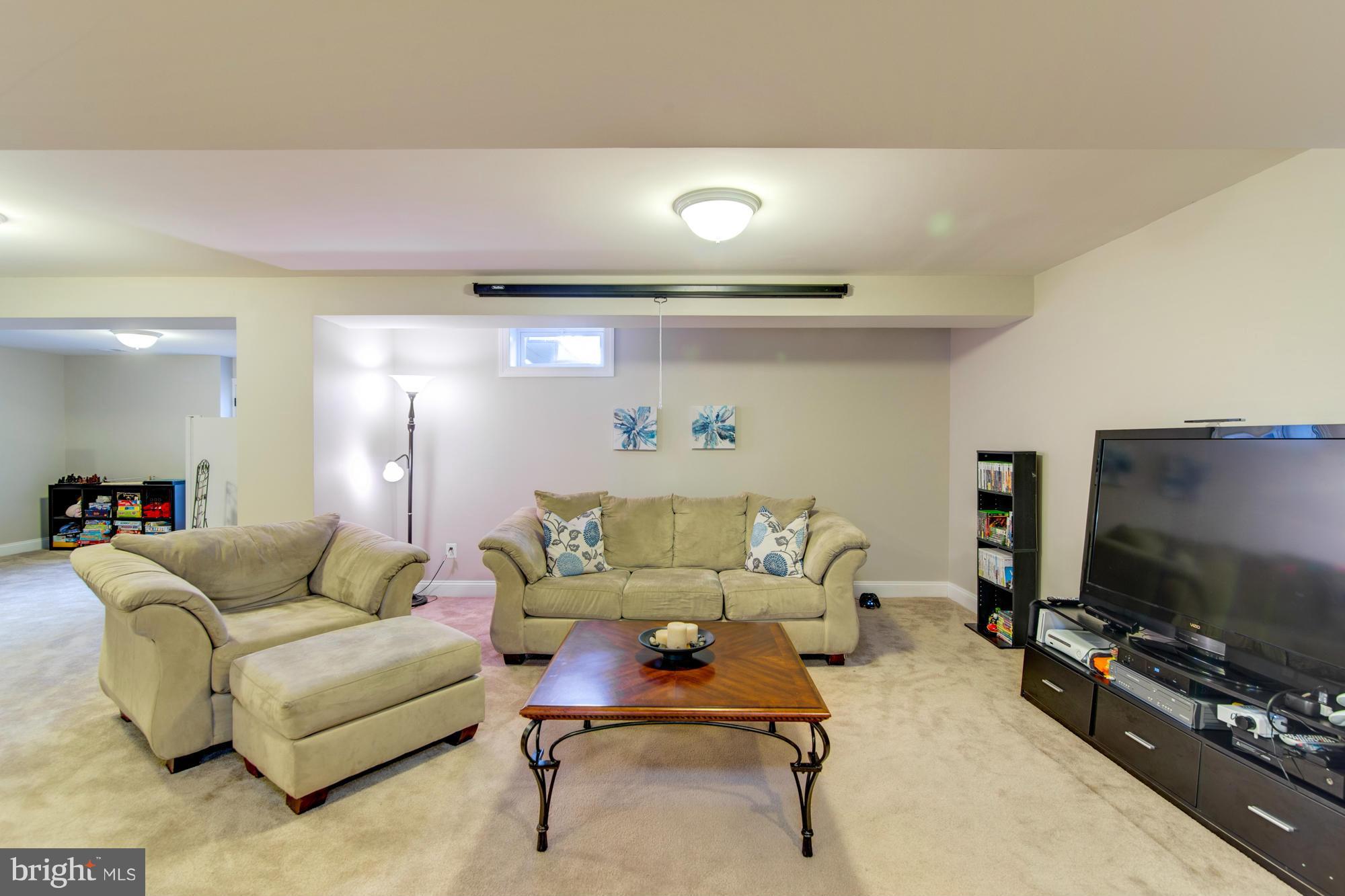 25764 Racing Sun Drive Aldie, VA 20105 - Photo 21 of 30 Basement