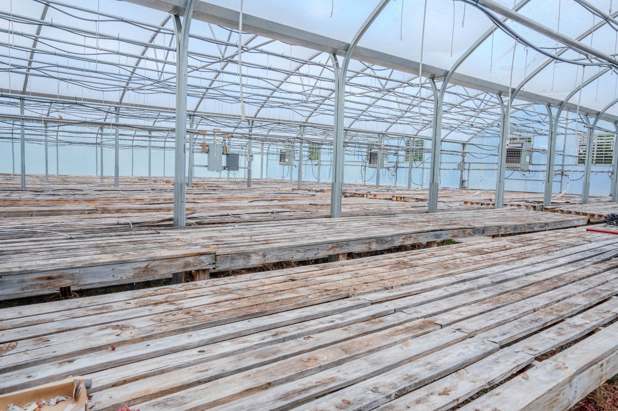 2461 Bodenham Road Pulaski, TN 38478 - Photo 16 of 59 a view of a backyard of a house