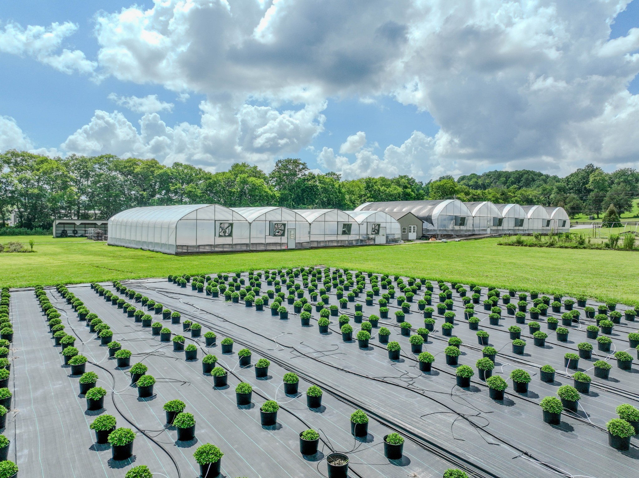 2461 Bodenham Road Pulaski, TN 38478 - Photo 20 of 59