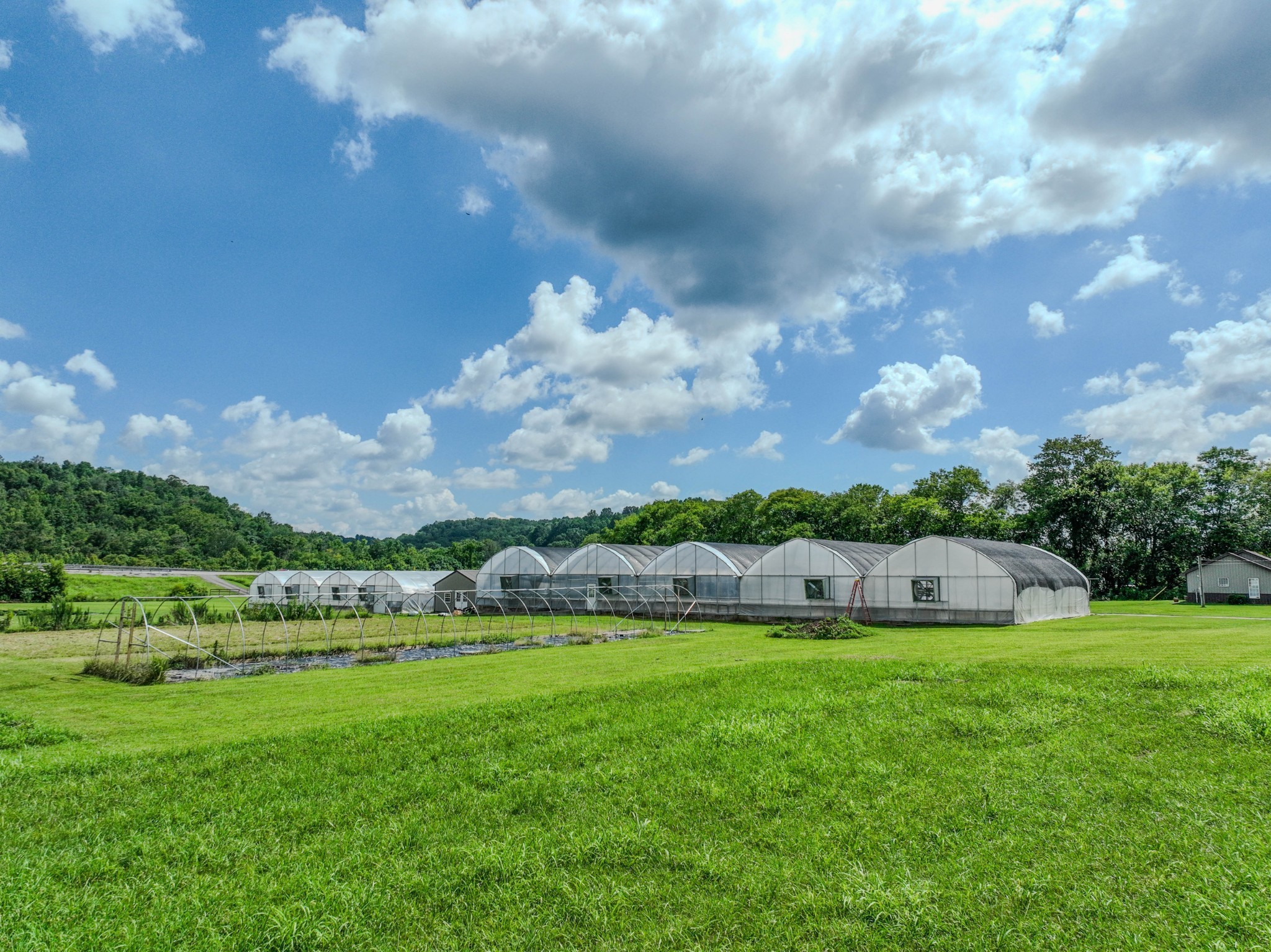 2461 Bodenham Road Pulaski, TN 38478 - Photo 21 of 59 a view of a green field