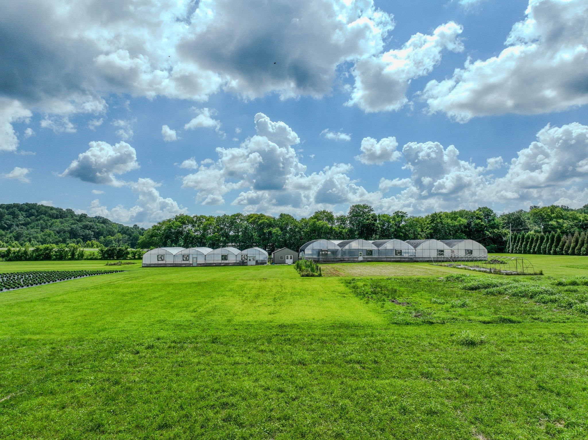2461 Bodenham Road Pulaski, TN 38478 - Photo 22 of 59 a view of an outdoor space and a yard