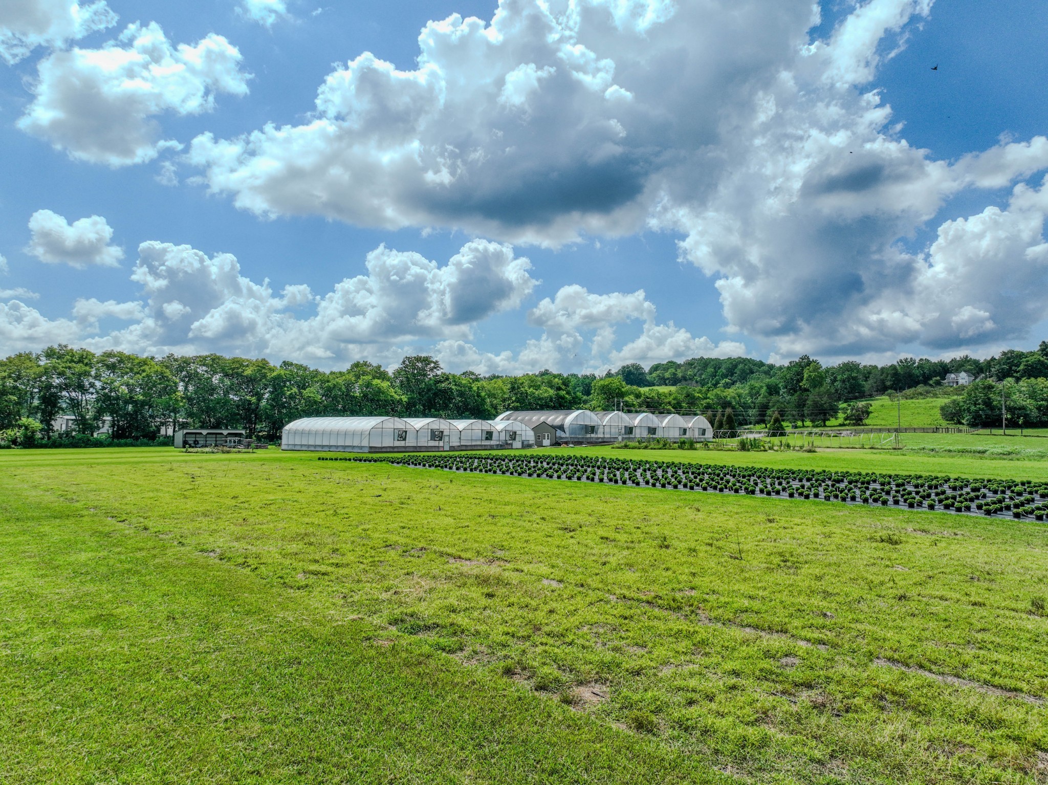 2461 Bodenham Road Pulaski, TN 38478 - Photo 23 of 59 a view of a green field