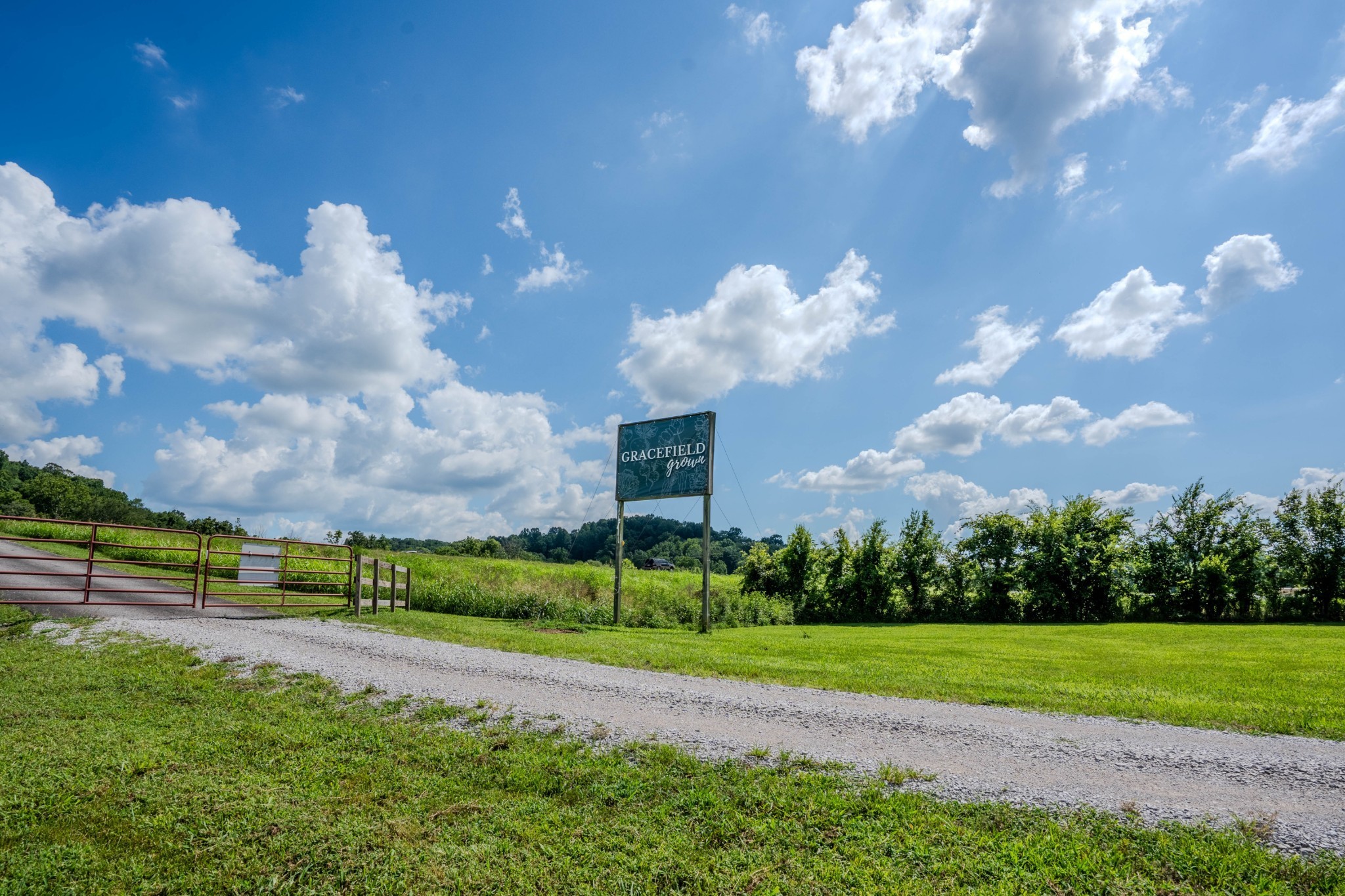 2461 Bodenham Road Pulaski, TN 38478 - Photo 24 of 59 a view of a building with a big yard and a large tree