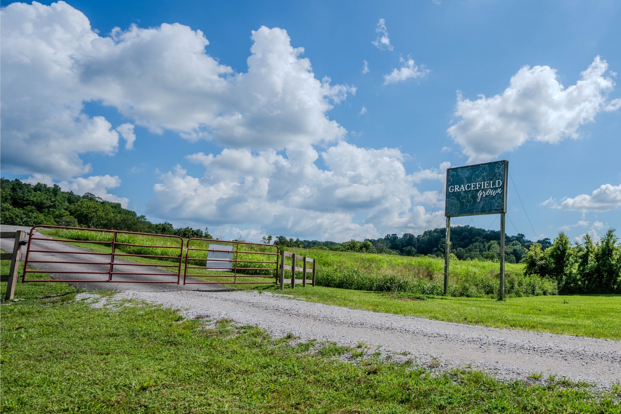 2461 Bodenham Road Pulaski, TN 38478 - Photo 25 of 59