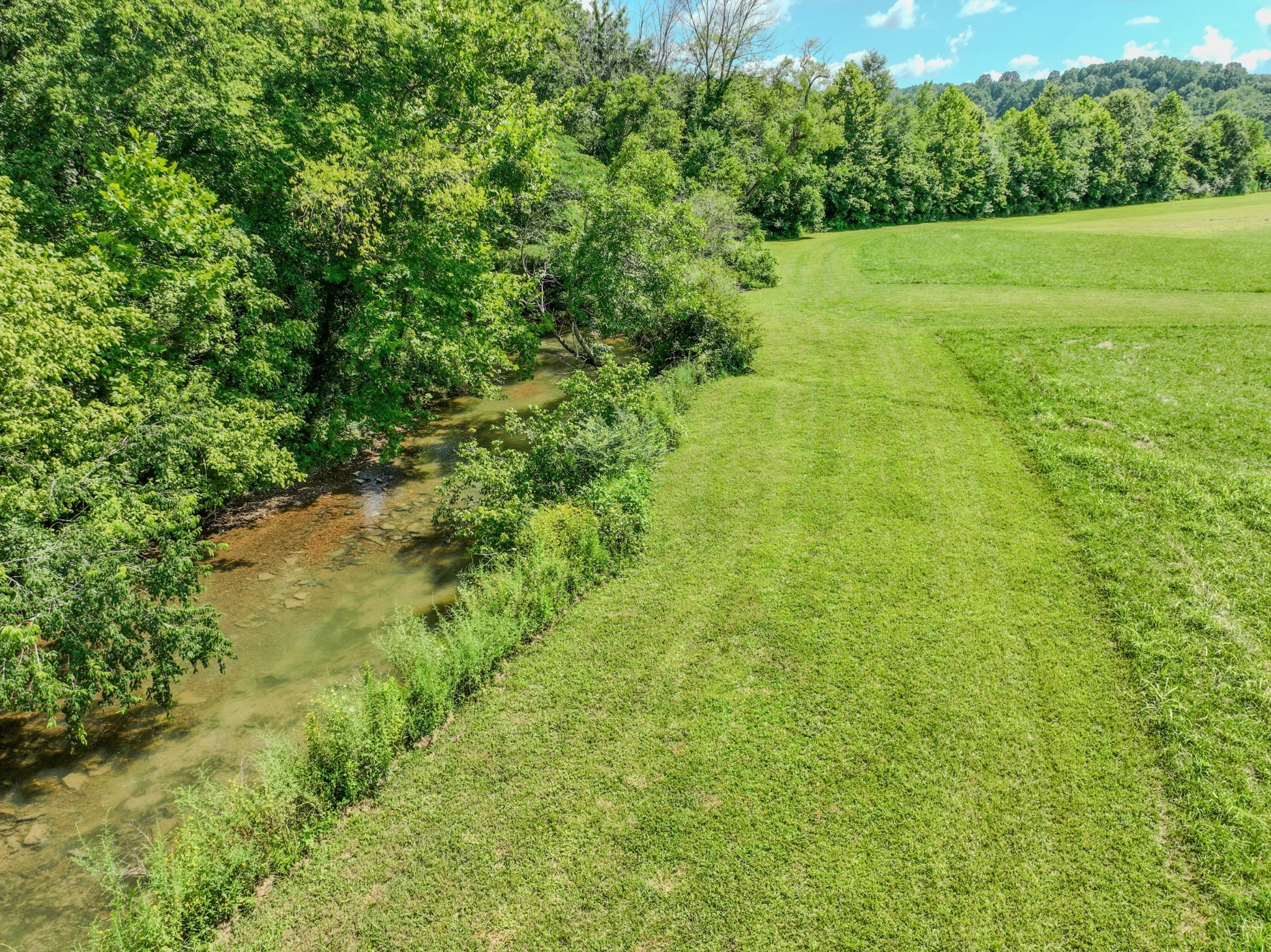 2461 Bodenham Road Pulaski, TN 38478 - Photo 31 of 59 a view of a garden with a tree
