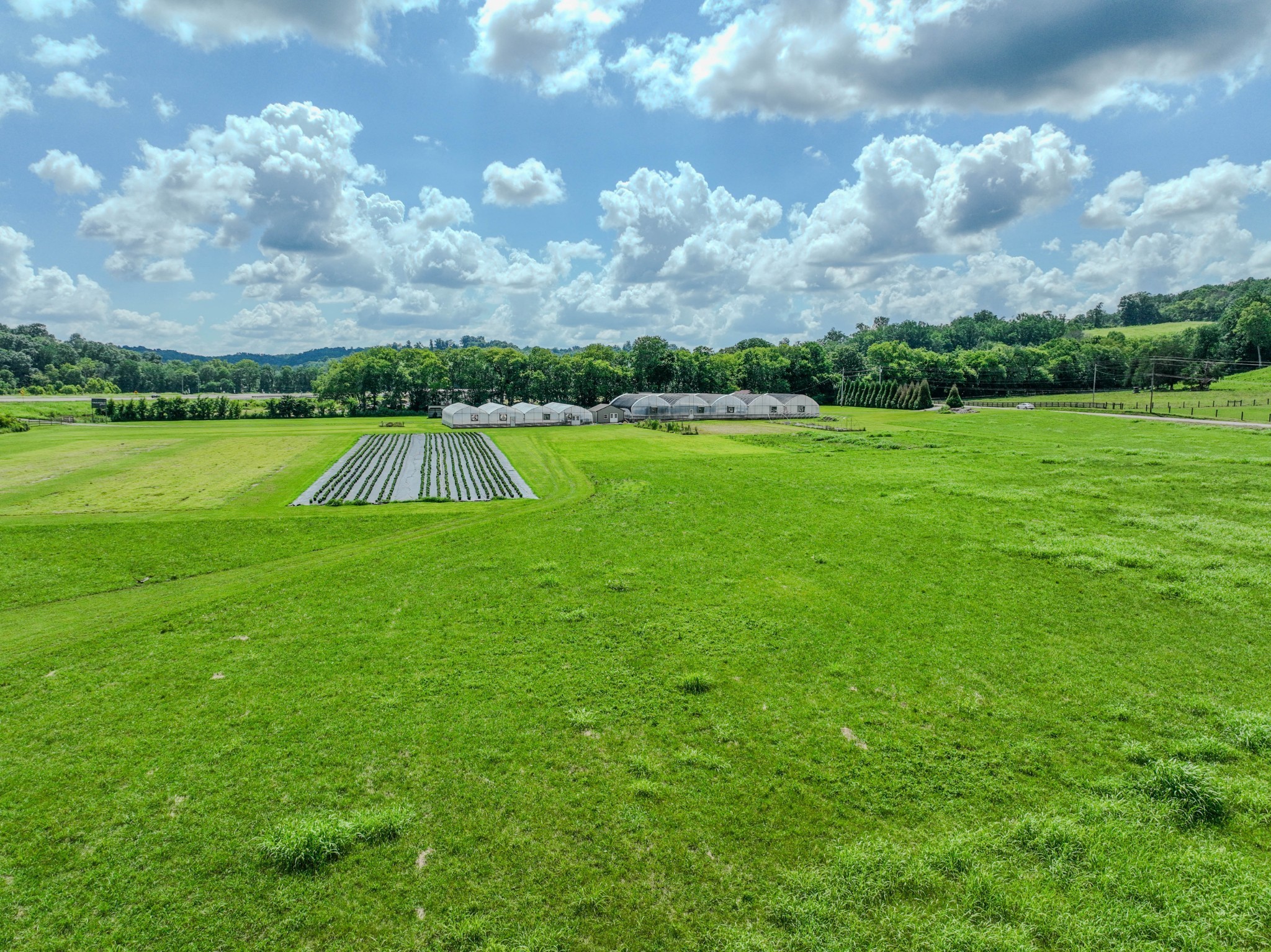 2461 Bodenham Road Pulaski, TN 38478 - Photo 38 of 59 a view of a golf course with a lake