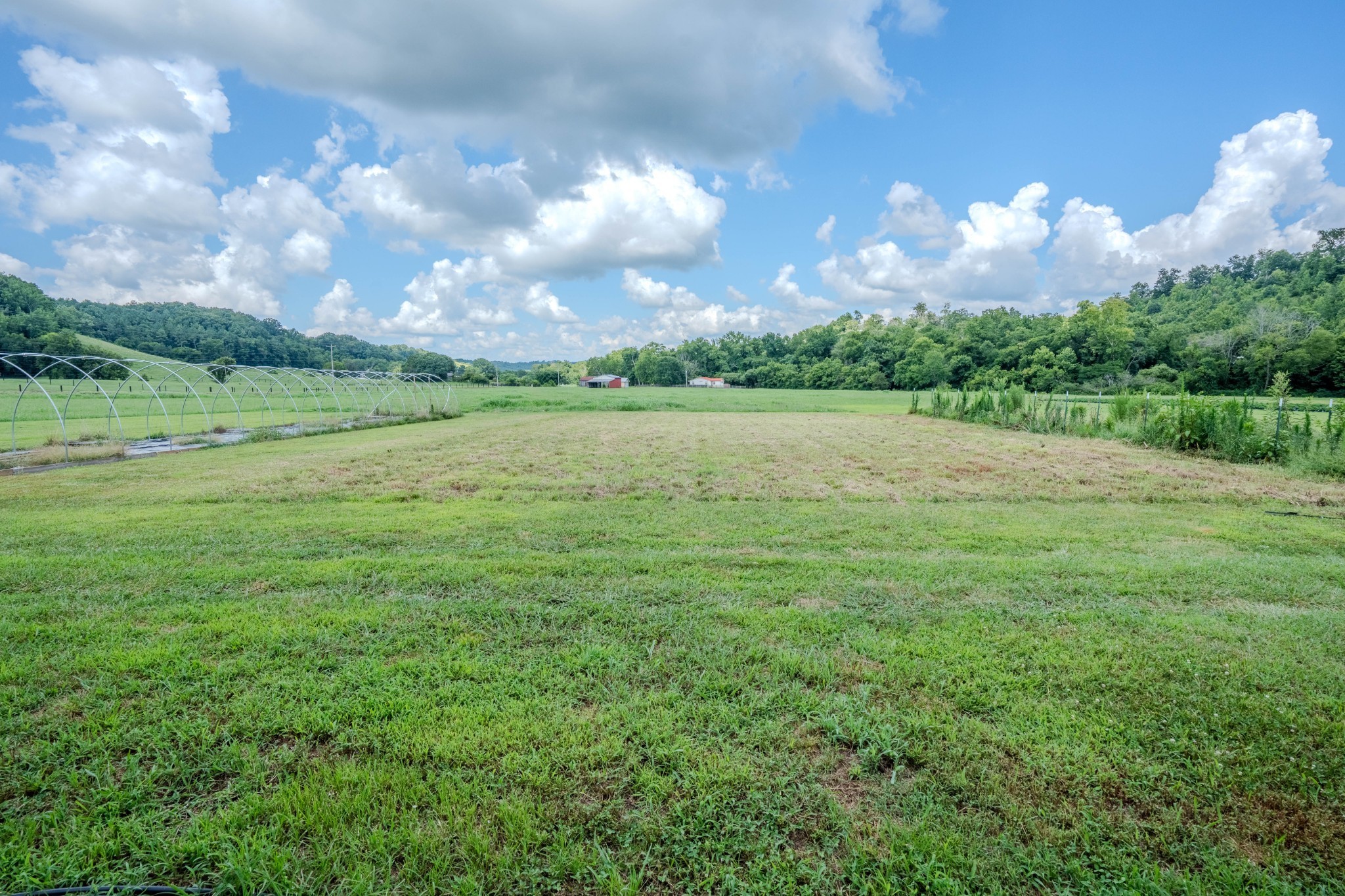 2461 Bodenham Road Pulaski, TN 38478 - Photo 42 of 59 a view of a golf course with green space